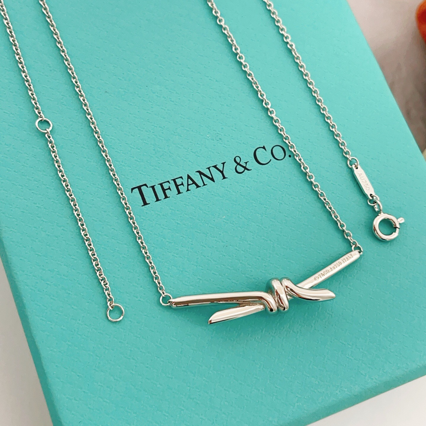 【Tiffany*帝芙尼最新款🆕🆕银色光面绳结项链】一致官网黄铜材质，非常的上镜‼️设计很特别值得入手。