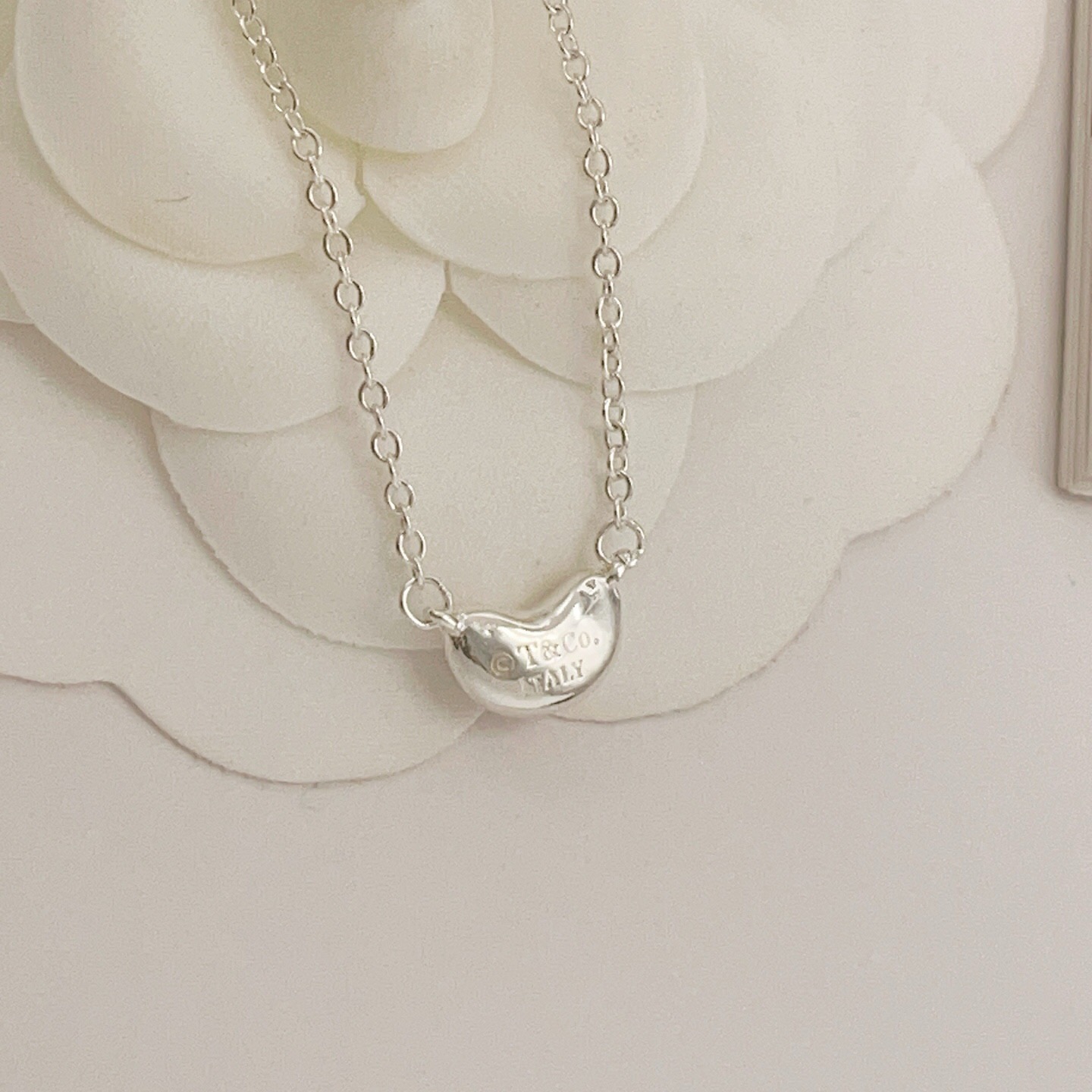 【Tiffany*帝芙尼最新款🆕🆕银色小黄豆项链】一致官网黄铜材质，非常的上镜‼️设计很特别值得入手。高
