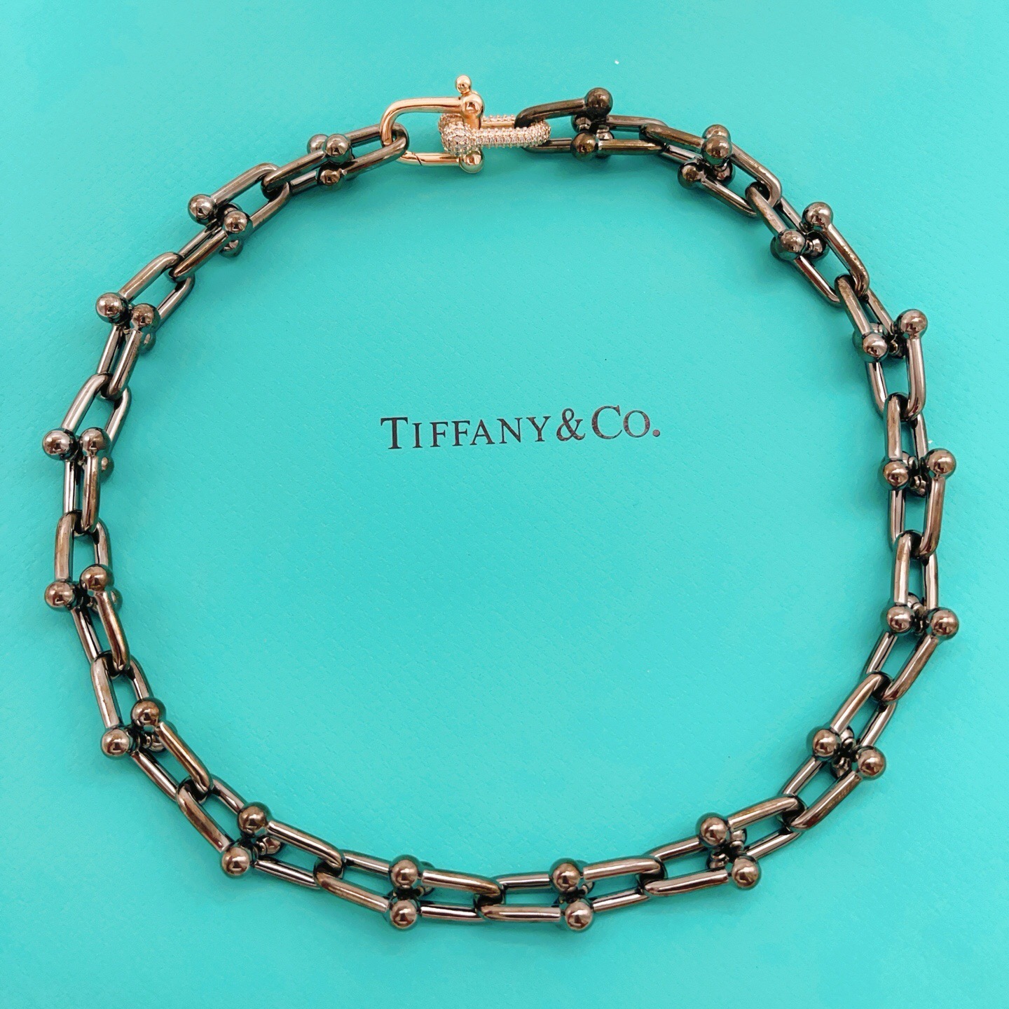 【Tiffany*帝芙尼最新款🆕🆕黑色U形马蹄项链】一致官网黄铜材质，非常的上镜‼️设计很特别值得入手。