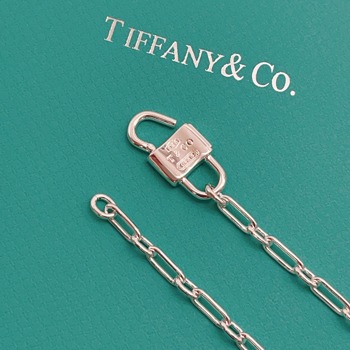 【Tiffany*帝芙尼最新款🆕🆕银色粗链锁项链】一致官网黄铜材质，非常的上镜‼️设计很特别值得入手。高