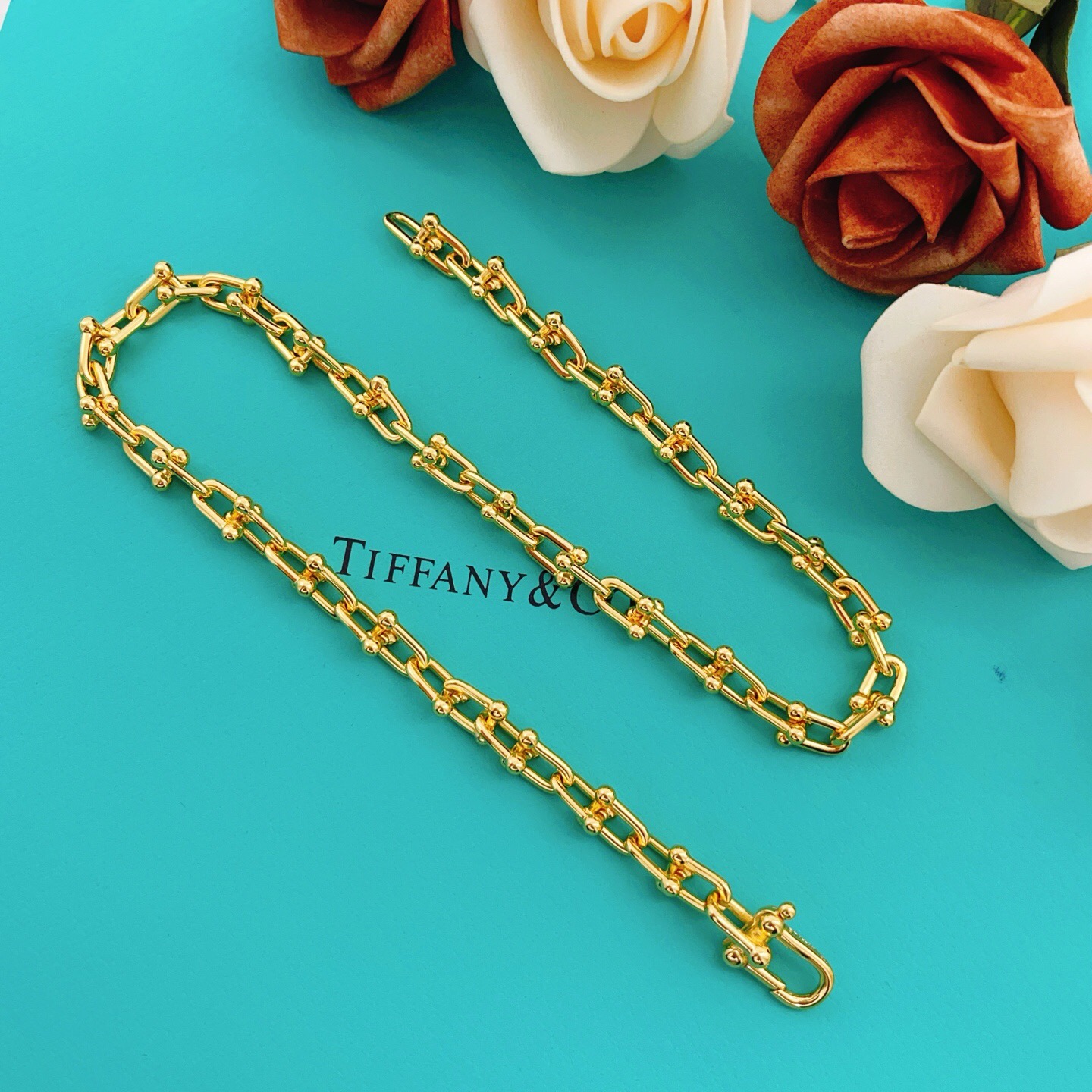 【Tiffany*帝芙尼最新款🆕🆕金色光面马蹄项链】一致官网黄铜材质，非常的上镜‼️设计很特别值得入手。