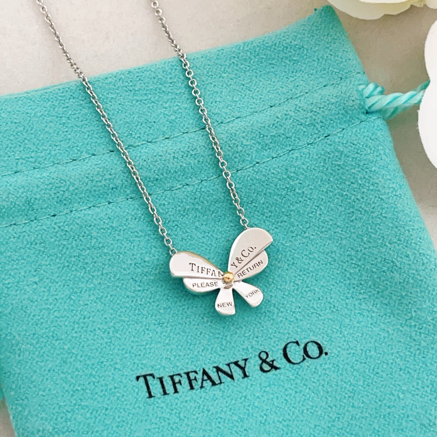 【Tiffany*帝芙尼最新款🆕🆕银色蝴蝶项链】一致官网黄铜材质，非常的上镜‼️设计很特别值得入手。高级