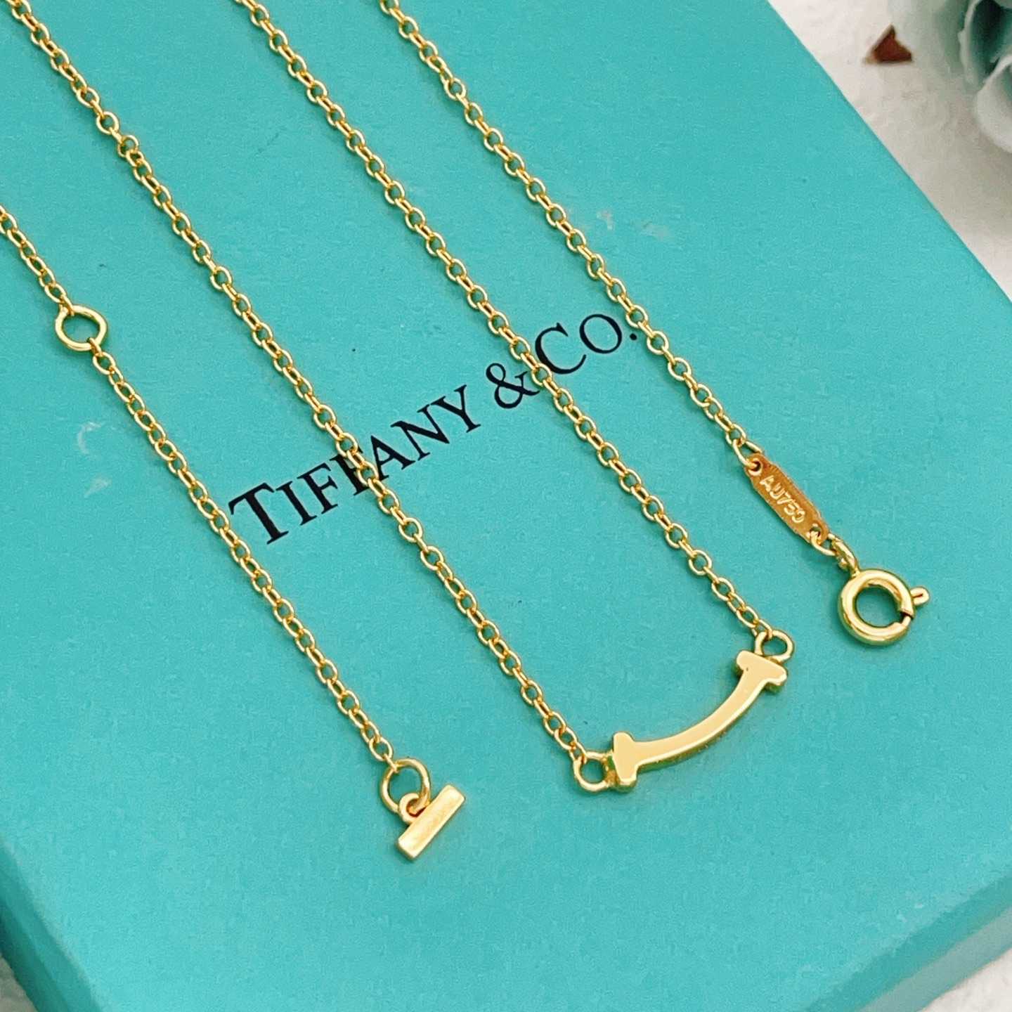 【Tiffany*帝芙尼最新款🆕🆕金色光面笑脸小号项链】一致官网黄铜材质，非常的上镜‼️设计很特别值得入