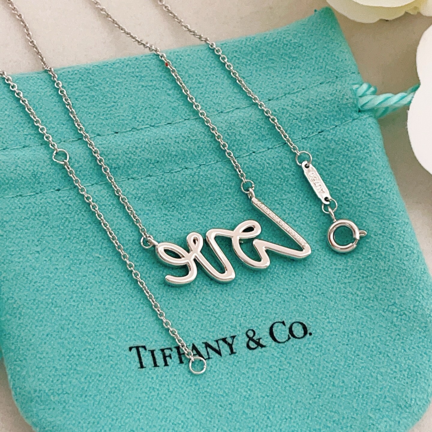 【Tiffany*帝芙尼最新款🆕🆕银色字母项链】一致官网黄铜材质，非常的上镜‼️设计很特别值得入手。高级