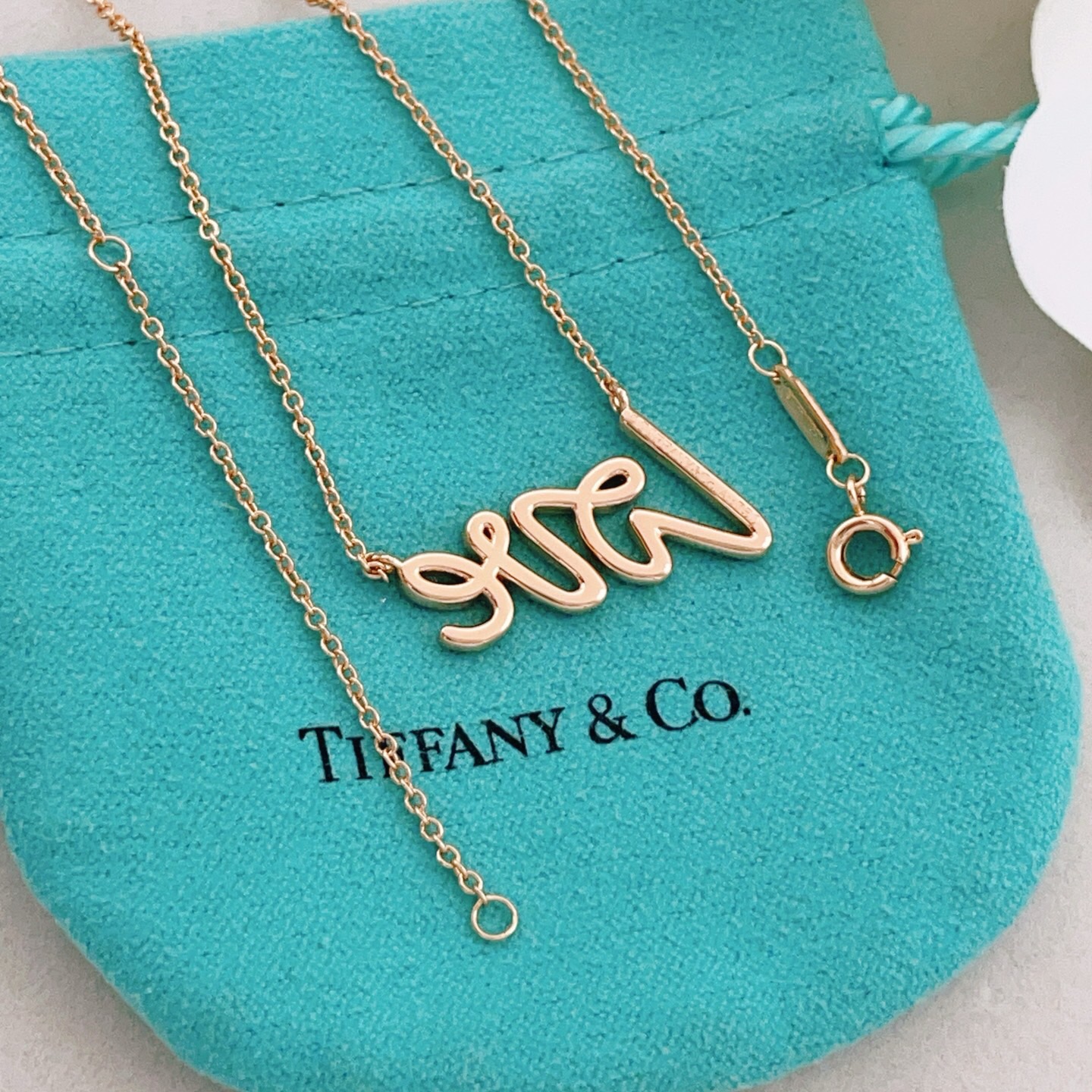 【Tiffany*帝芙尼最新款🆕🆕玫瑰金字母项链】一致官网黄铜材质，非常的上镜‼️设计很特别值得入手。高