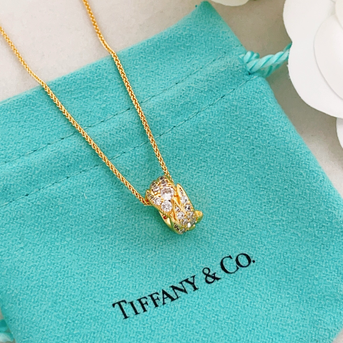 【Tiffany*帝芙尼最新款🆕🆕金色镶钻翅膀项链】一致官网黄铜材质，非常的上镜‼️设计很特别值得入手。