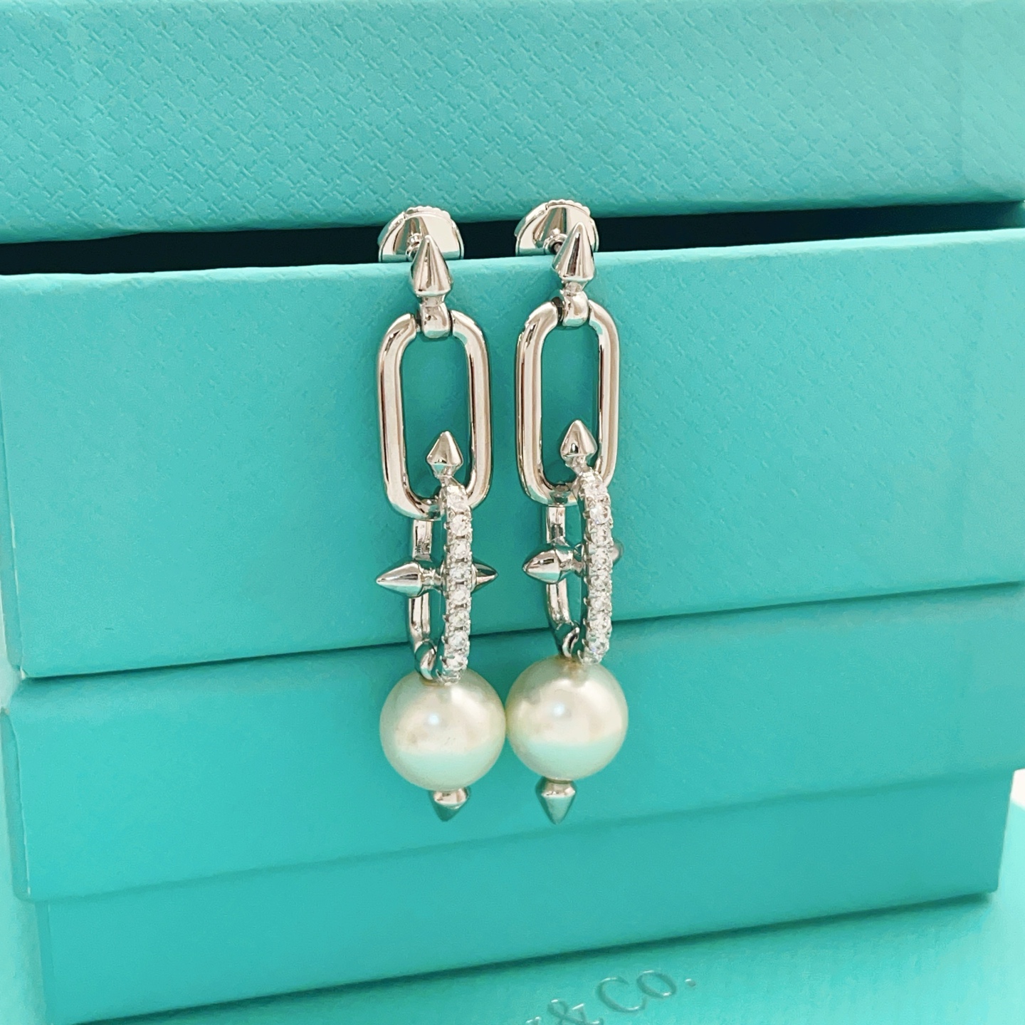 【Tiffany*帝芙尼最新款🆕🆕银色镶钻流苏大号钉子耳钉】一致官网黄铜材质，非常的上镜‼️设计很特别值