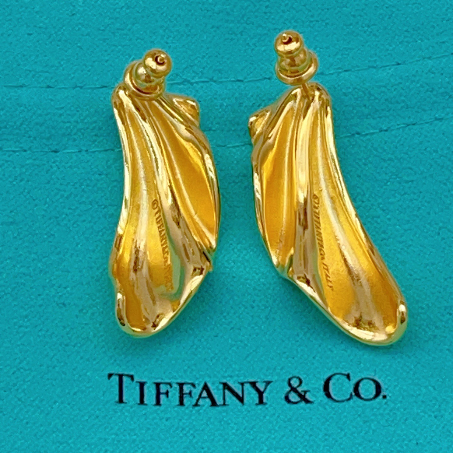 【Tiffany*帝芙尼最新款🆕🆕金色光面翅膀耳钉】一致官网黄铜材质，非常的上镜‼️设计很特别值得入手。