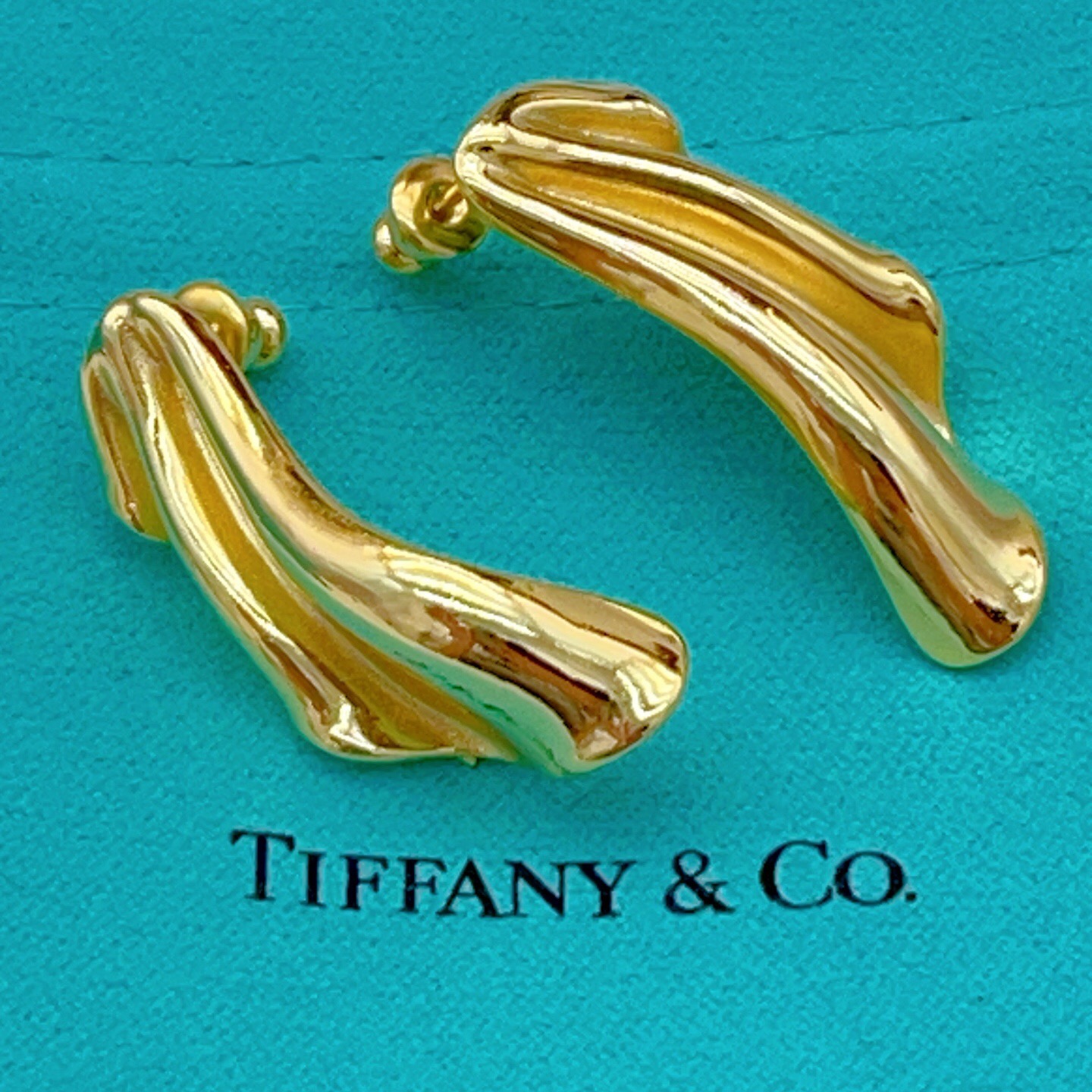 【Tiffany*帝芙尼最新款🆕🆕金色光面翅膀耳钉】一致官网黄铜材质，非常的上镜‼️设计很特别值得入手。