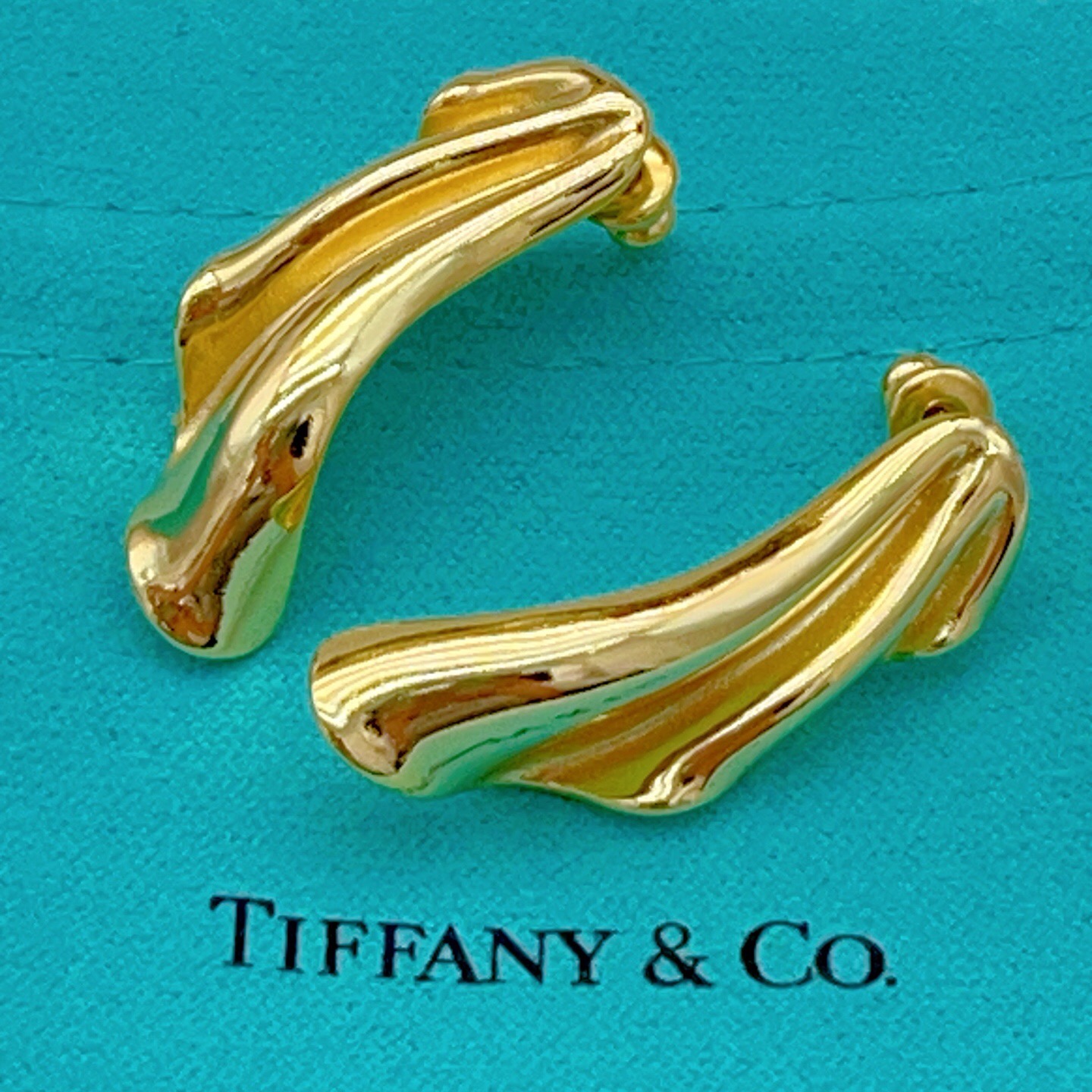 【Tiffany*帝芙尼最新款🆕🆕金色光面翅膀耳钉】一致官网黄铜材质，非常的上镜‼️设计很特别值得入手。