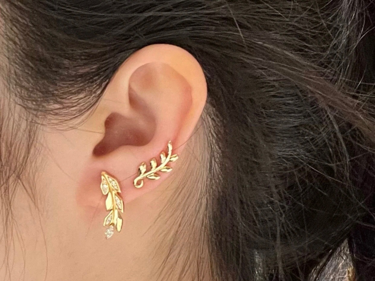 【Tiffany*帝芙尼最新款🆕🆕金色叶片耳钉】一致官网黄铜材质，非常的上镜‼️设计很特别值得入手。高级