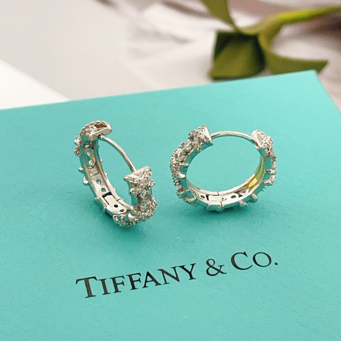 【Tiffany*帝芙尼最新款🆕🆕银色满钻圆形X耳钉】一致官网黄铜材质，非常的上镜‼️设计很特别值得入手