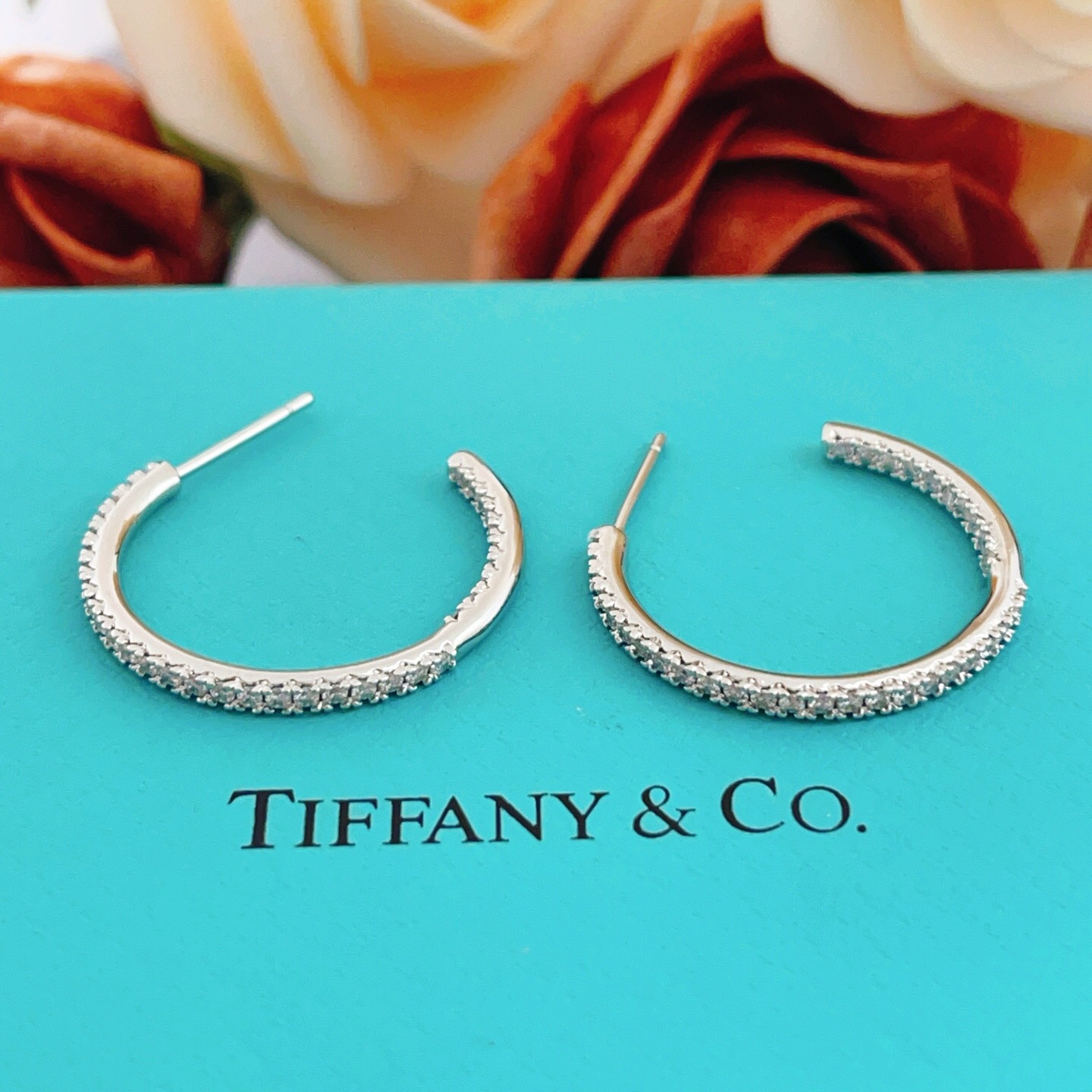 【Tiffany*帝芙尼最新款🆕🆕银色满钻半圆耳钉】一致官网黄铜材质，非常的上镜‼️设计很特别值得入手。