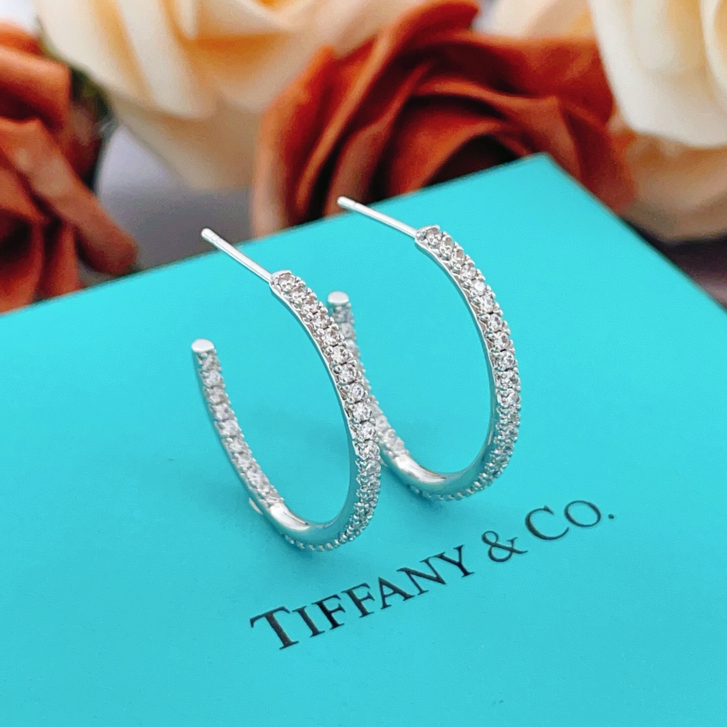 【Tiffany*帝芙尼最新款🆕🆕银色满钻半圆耳钉】一致官网黄铜材质，非常的上镜‼️设计很特别值得入手。