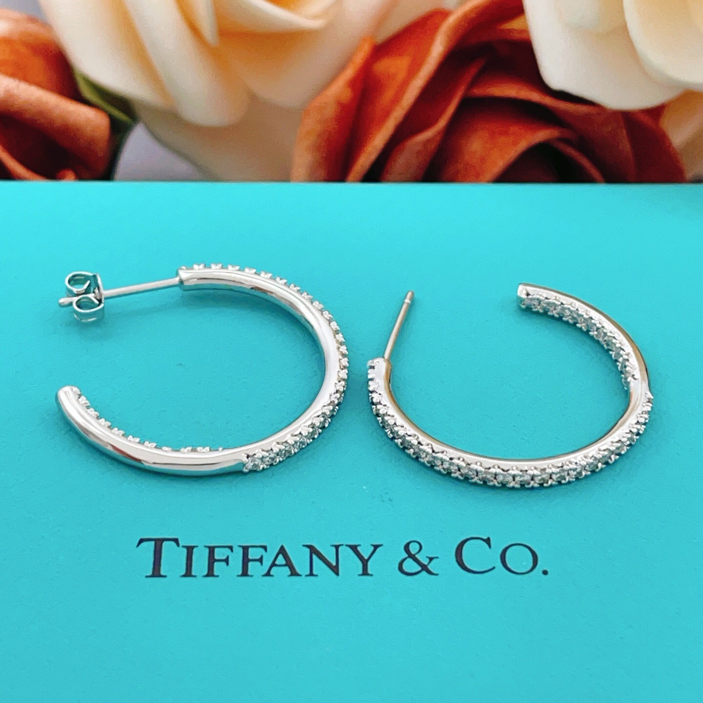 【Tiffany*帝芙尼最新款🆕🆕银色满钻半圆耳钉】一致官网黄铜材质，非常的上镜‼️设计很特别值得入手。