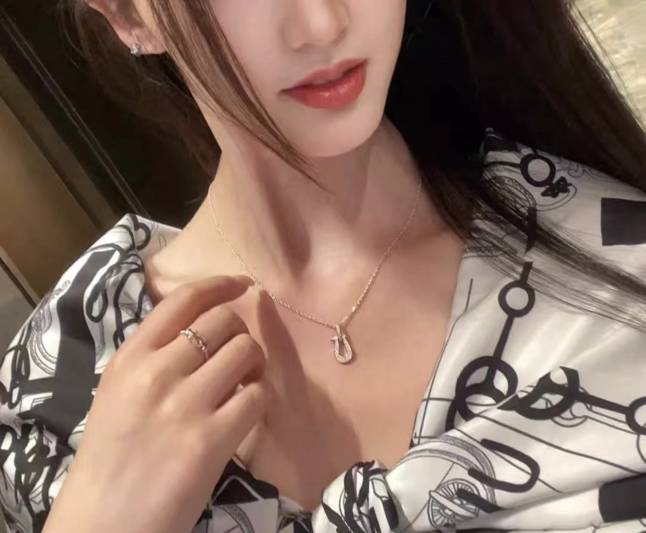 【FRDE费雷德最新款🆕🆕金色马蹄扣项链】一致官网黄铜材质，非常的上镜‼️设计很特别值得入手。高级手工坊