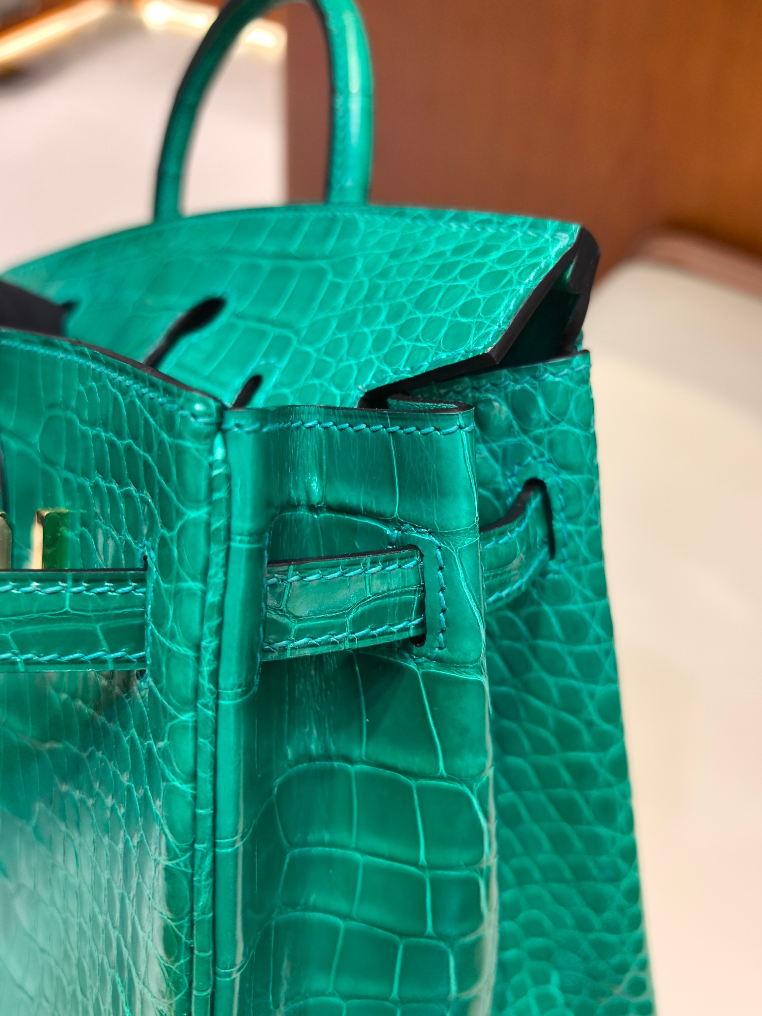 Hermès Birkin 25 Alligator Emerald Green Gold Hardware Handbag 8 a1750593506371 1472