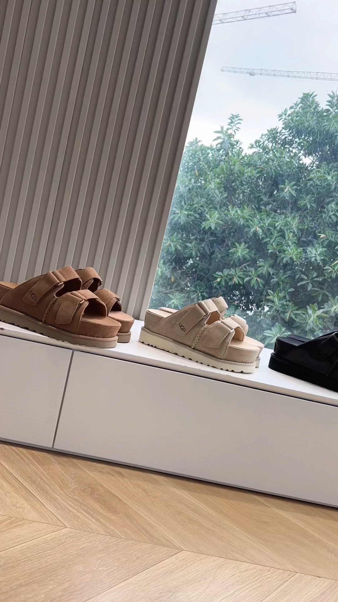 [UGG Women