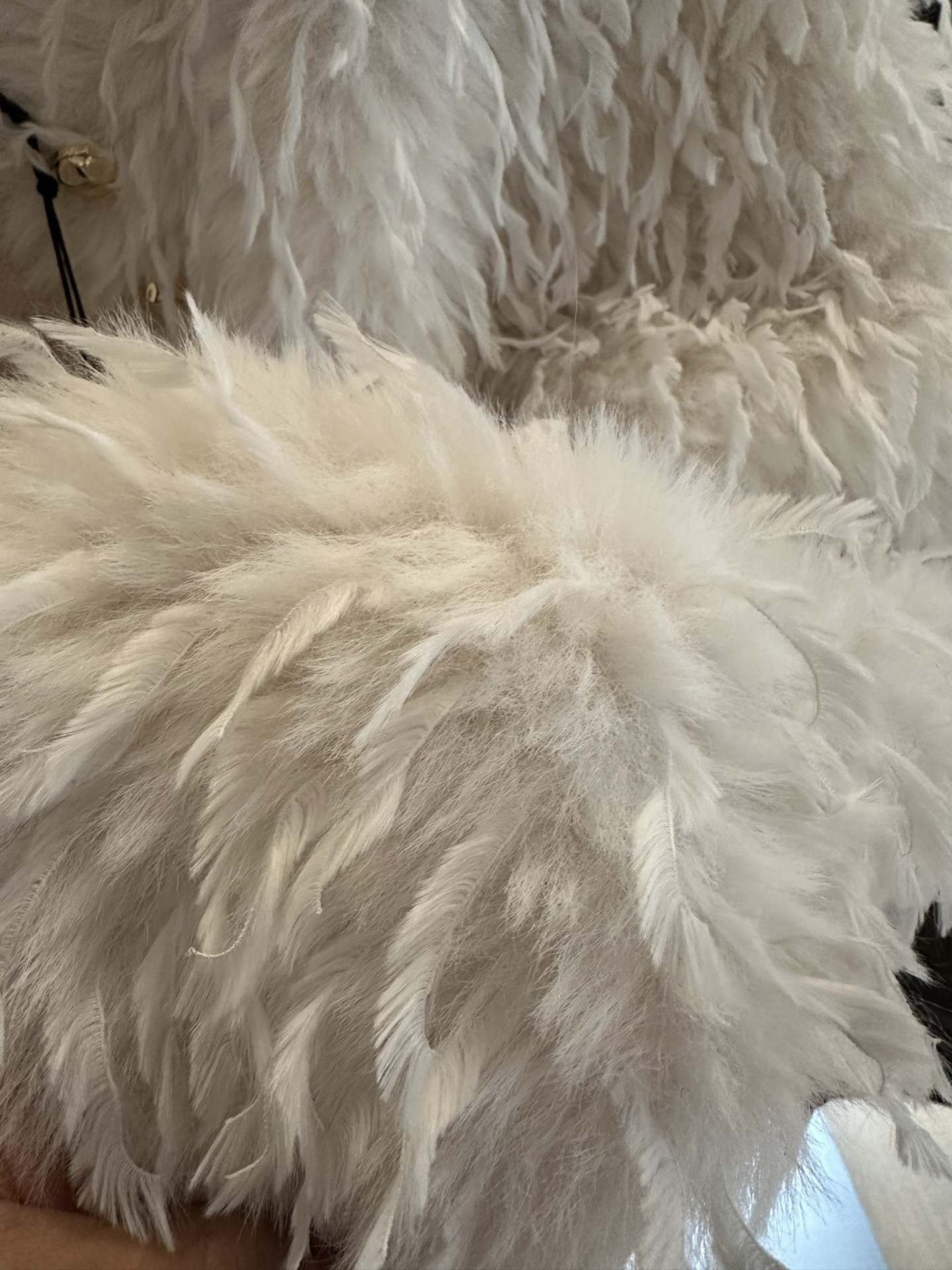 “High-Quality Women’s Clothes: Cel’ne Serin 2025 Mink Coats with Dustproof Bags” - 图片 7