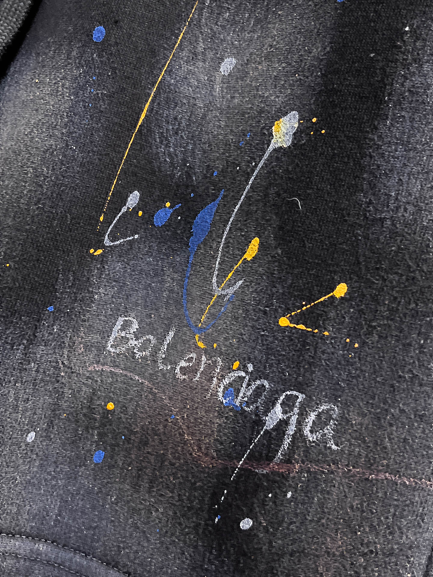 Balenciaga  休闲短裤服装 7