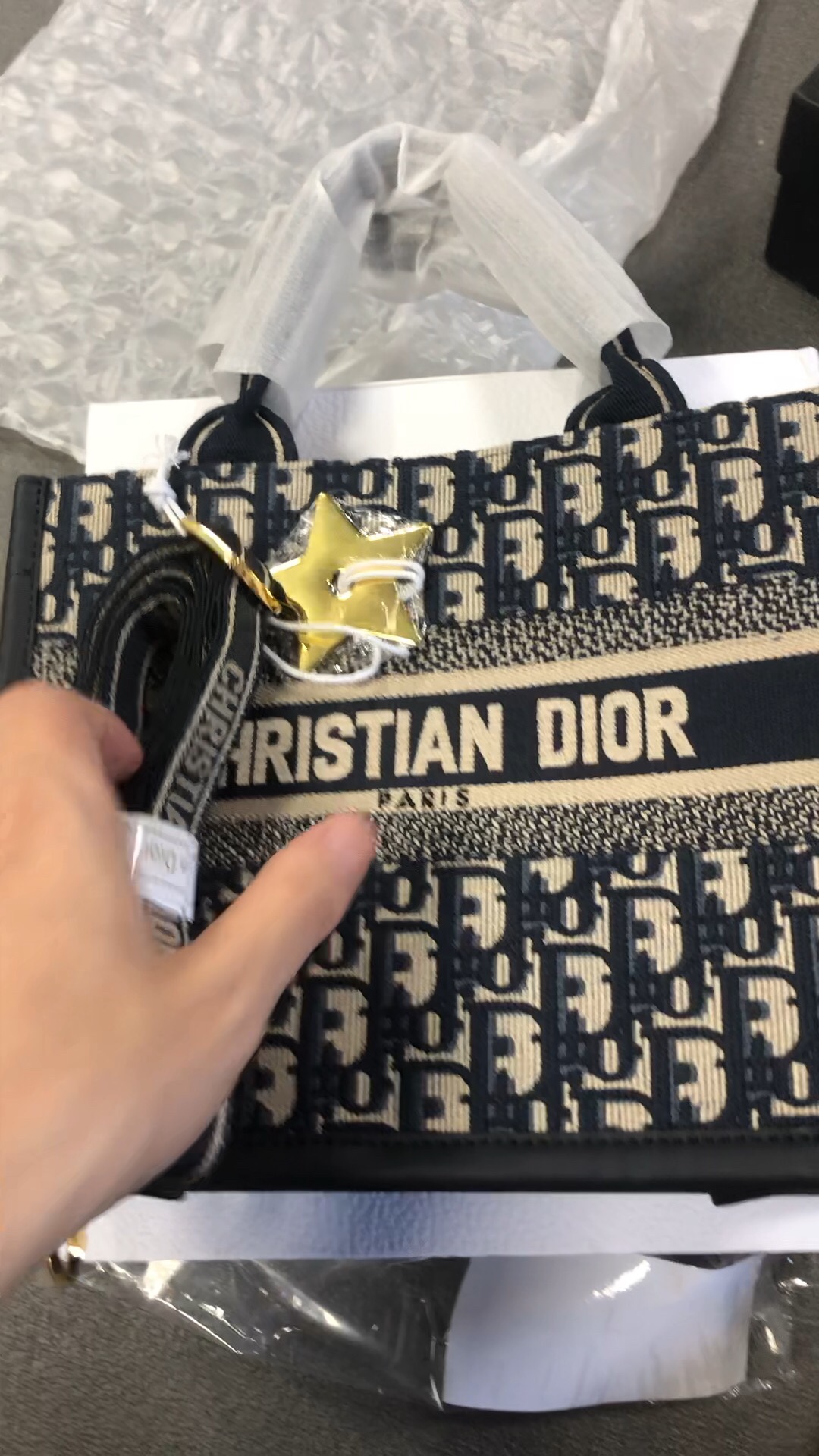 Dior Book Tote Borse Tote Blu Rose Ricamo Collezione Primavera Oblique