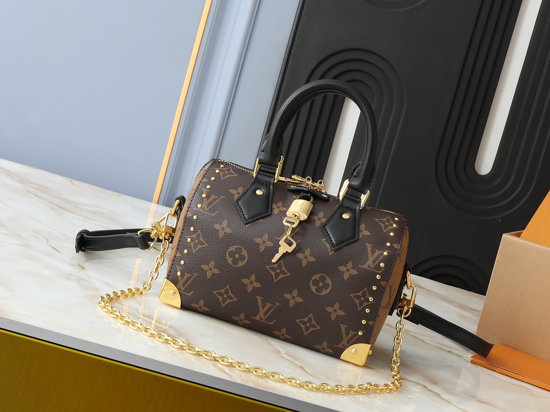 Louis Vuitton LV Speedy Bags Handbags Monogram Reverse Canvas Spring Collection Chains M13146