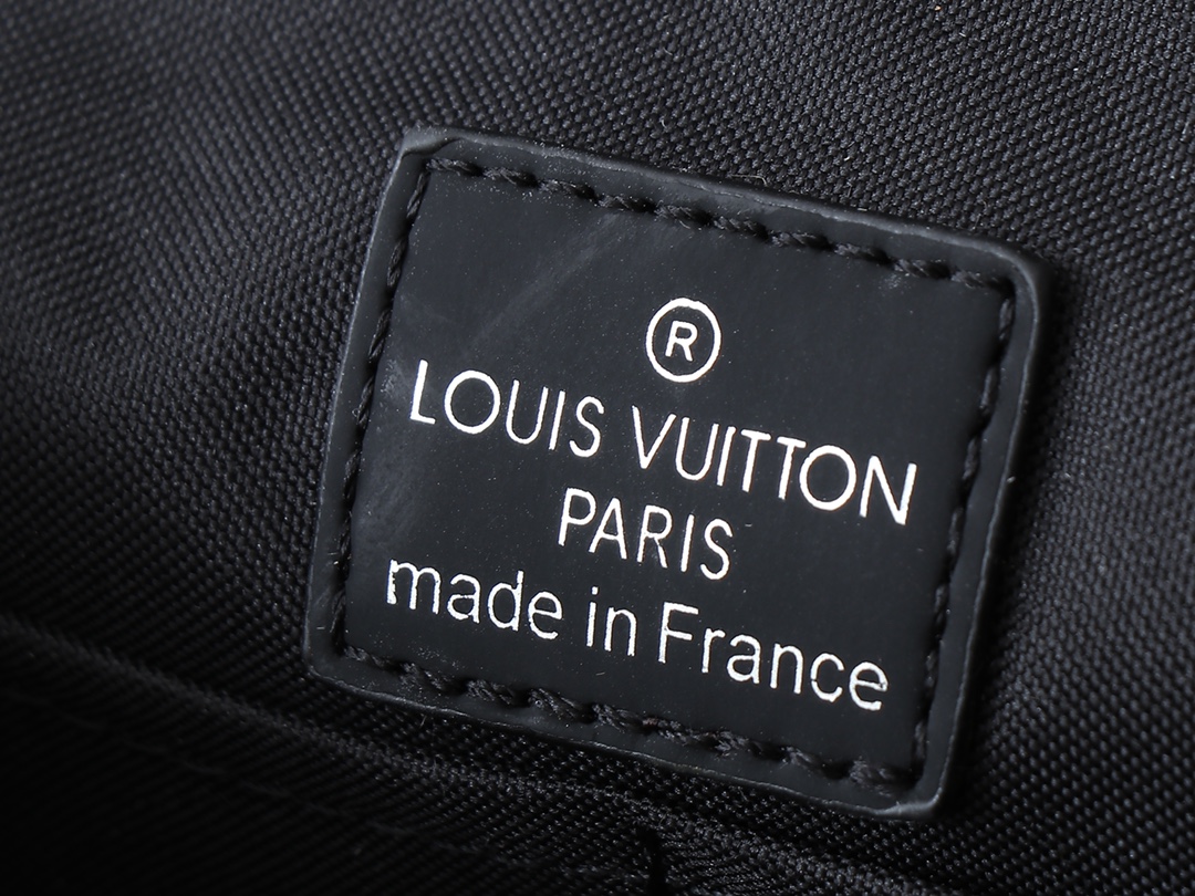 Louis Vuitton Luxury Handbag Collection 8