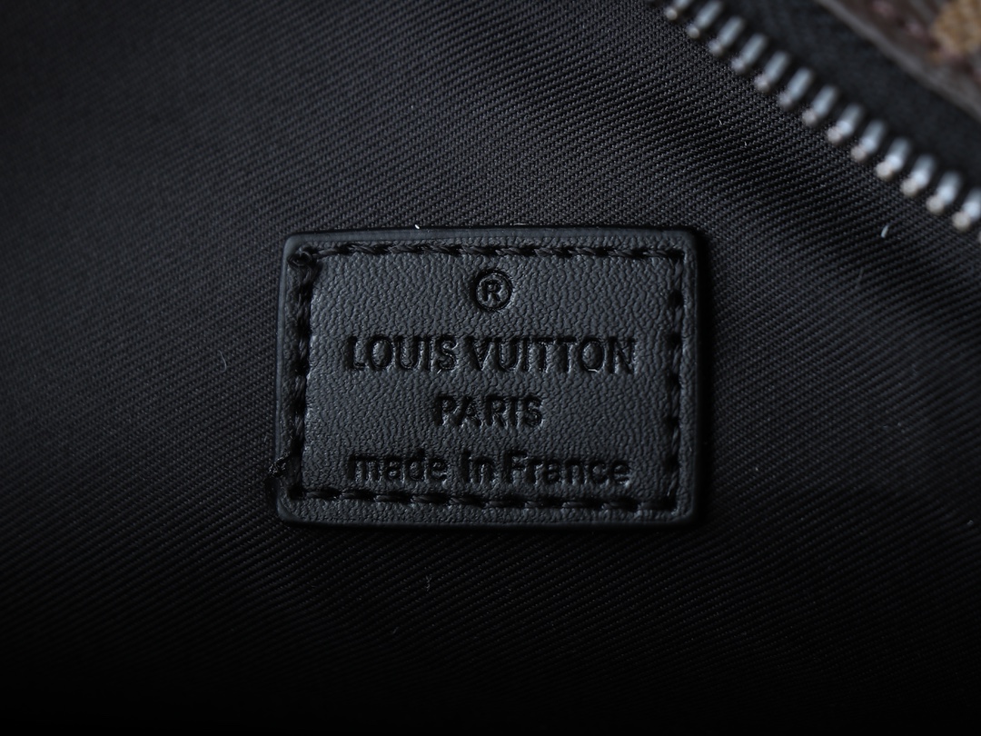 Louis Vuitton Camera Box Monogram crossbody