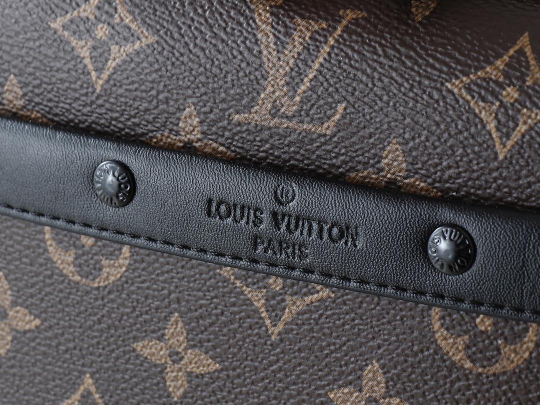 Louis Vuitton Camera Box Monogram crossbody