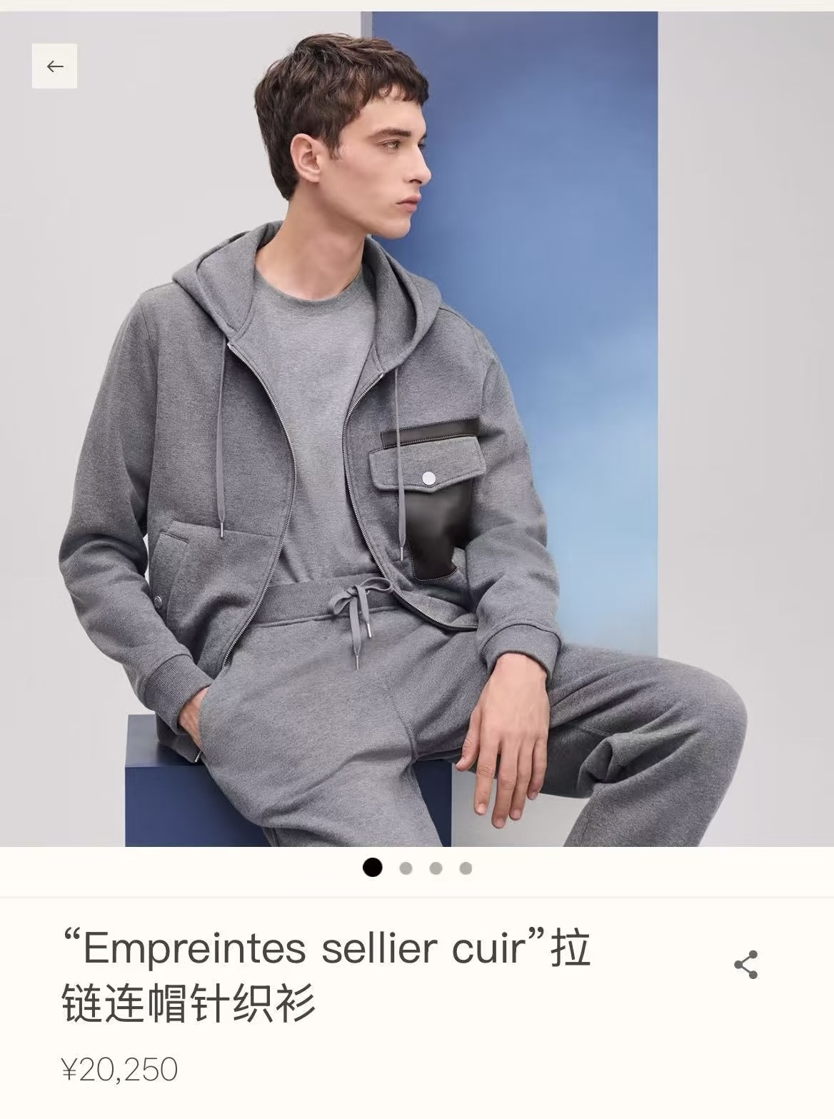 Hermes Men's Gray Zip-Up Hoodie with Leather Pocket Detail - Modern Style 2 i1753782089003 8637 0 0