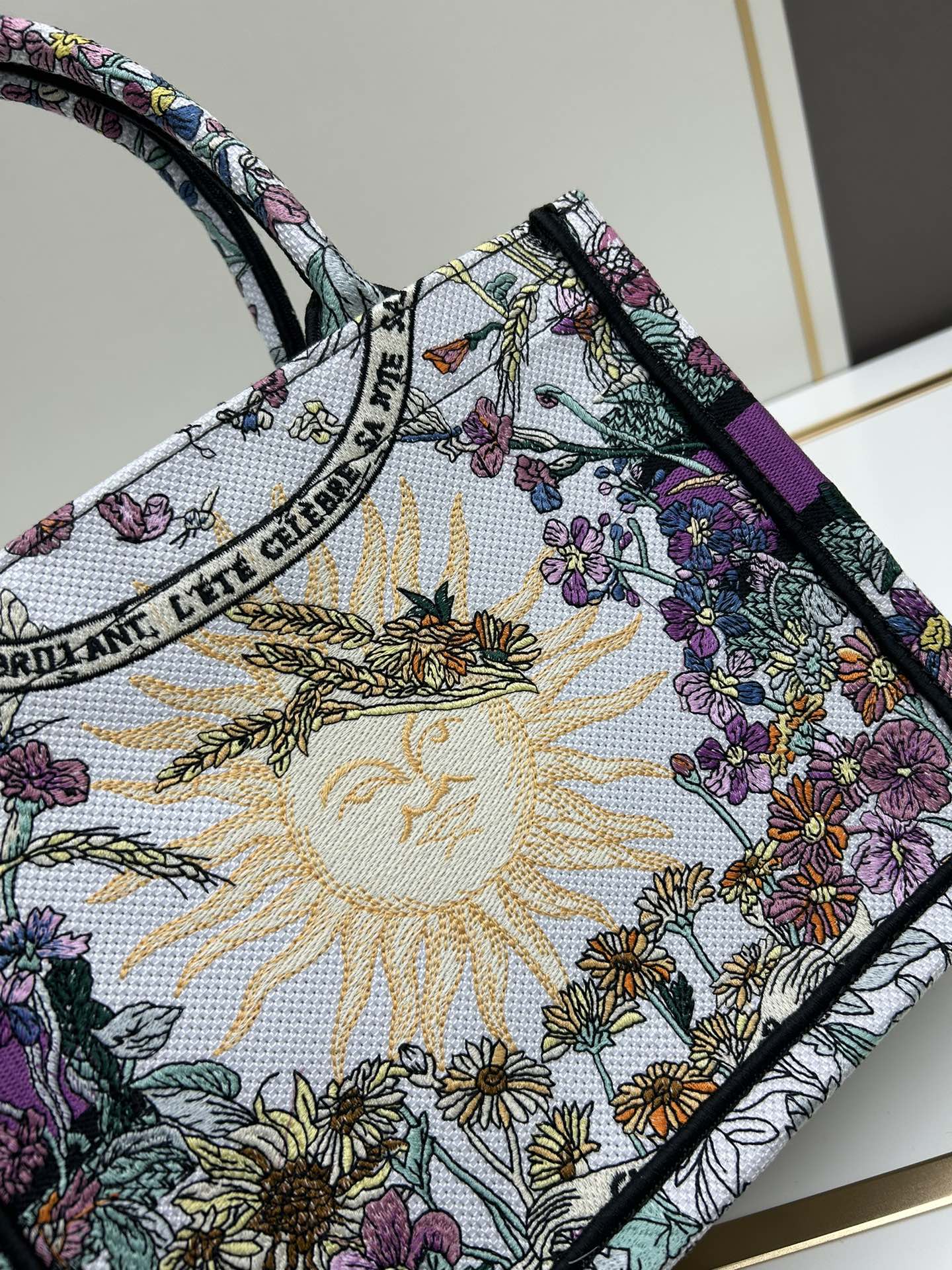 迪奥Dior BOOK TOTE 手袋手提包购物袋托特包