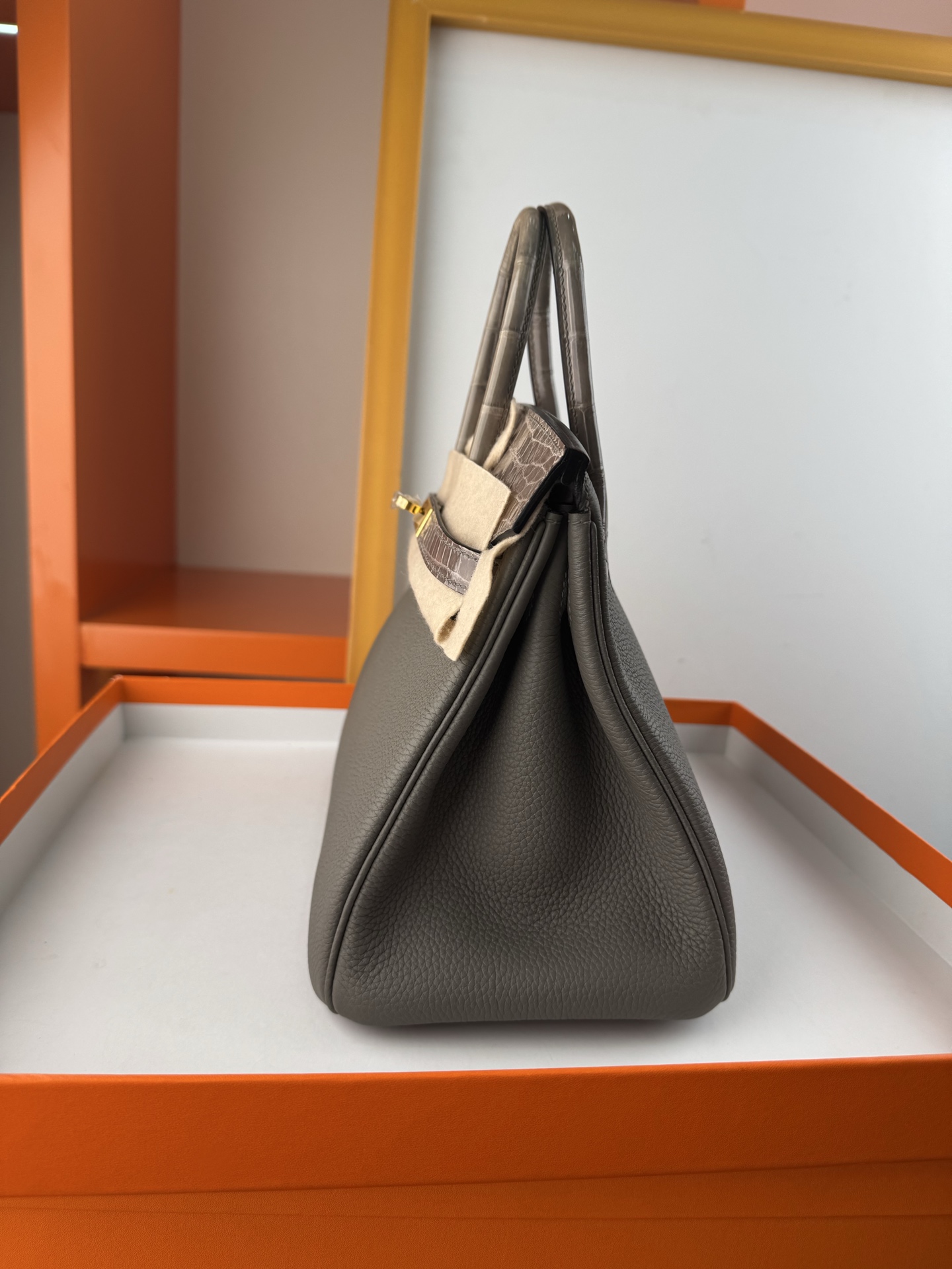 Birkin 25cm Touch Bag, Togo Leather and Alligator Skin, with Gold Hardware 6 i1747994454082 1774 0 5