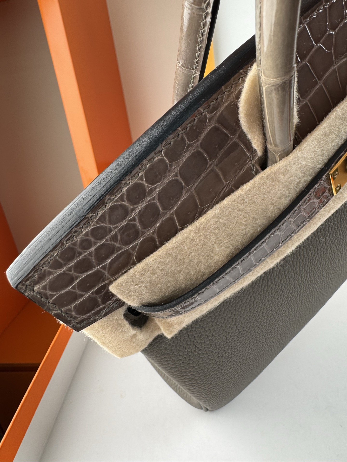Birkin 25cm Touch Bag, Togo Leather and Alligator Skin, with Gold Hardware 4 i1747994457782 2748 0 3