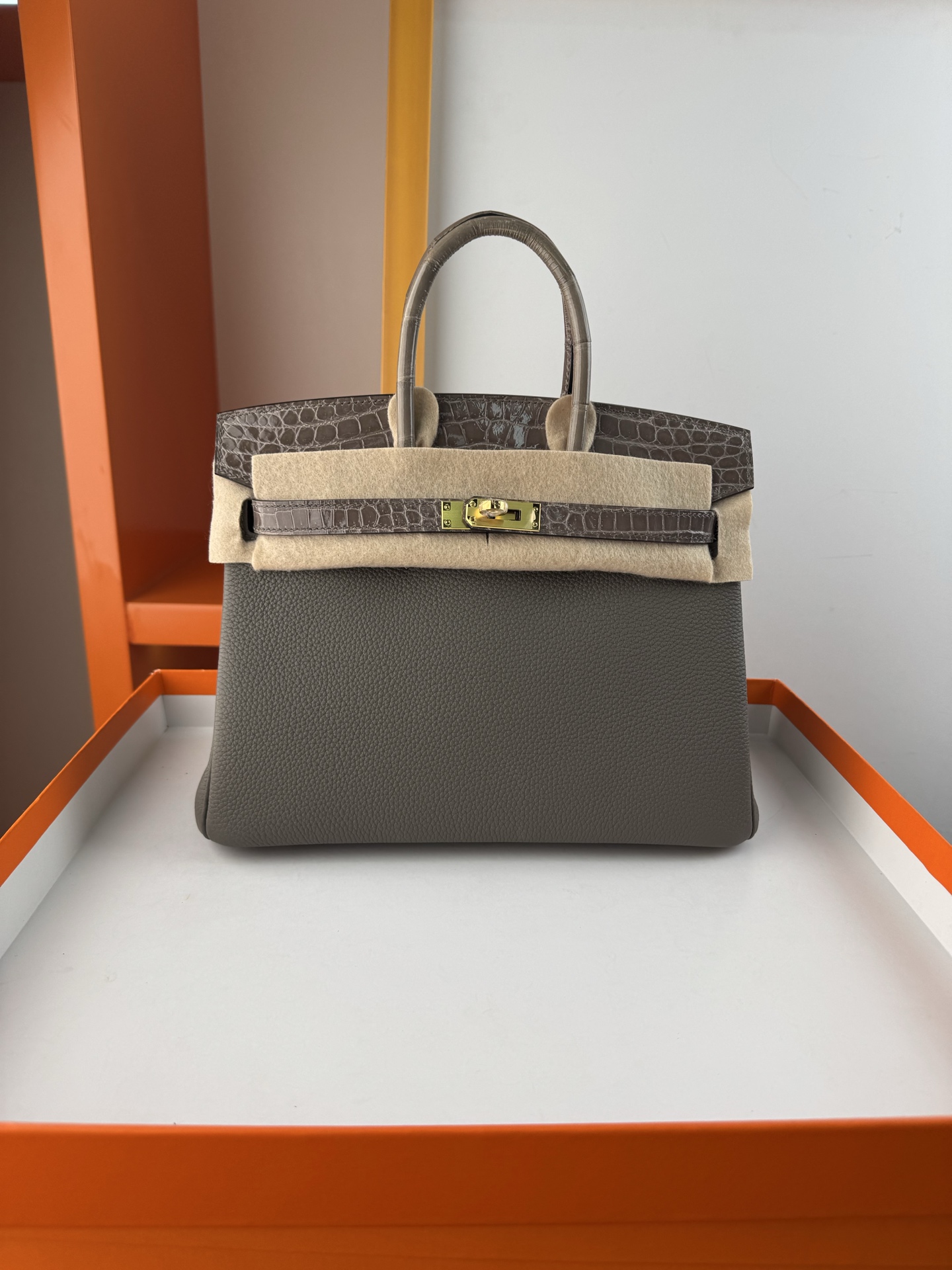 Birkin 25cm Touch Bag, Togo Leather and Alligator Skin, with Gold Hardware 1 i1747994457932 1011 0 0