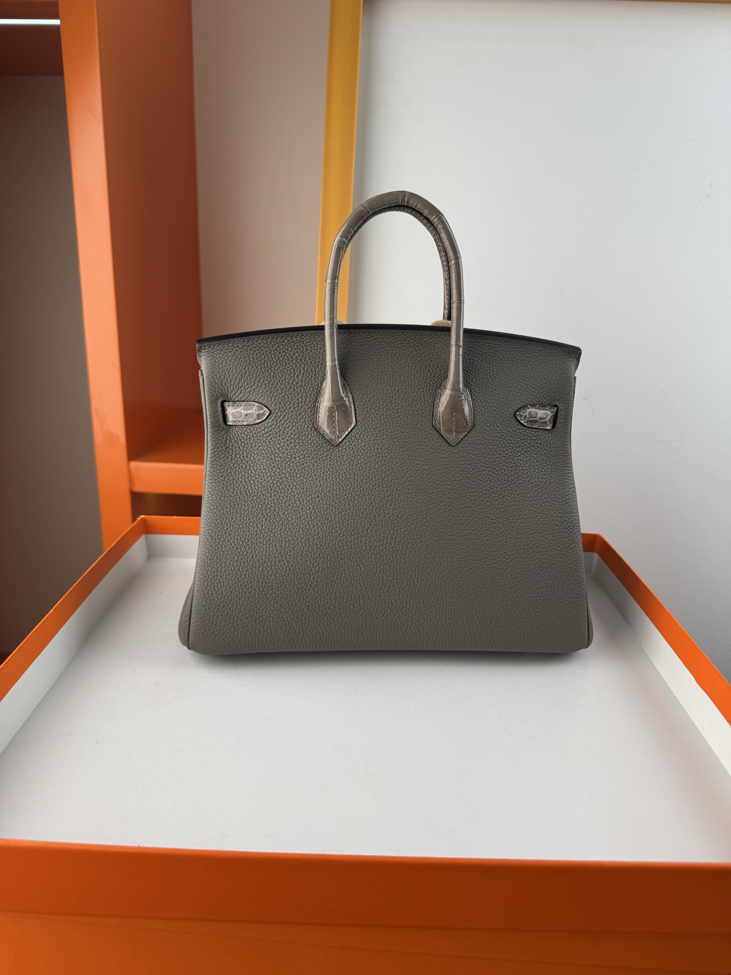Birkin 25cm Touch Bag, Togo Leather and Alligator Skin, with Gold Hardware 2 i1747994457943 3401 0 1