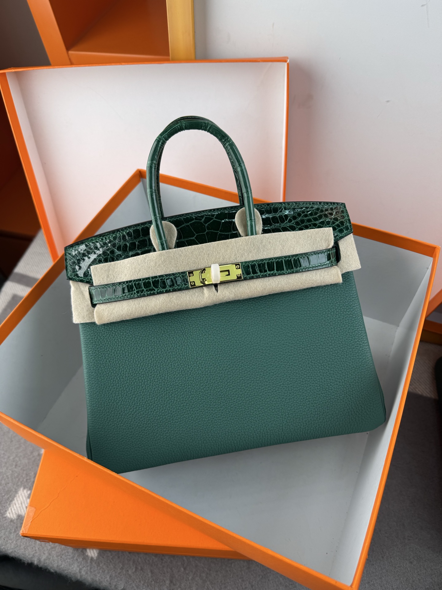 Birkin 25cm Emerald Green Togo Leather and Alligator Gold Hardware Bag 10 i1747994728015 7417 0 8