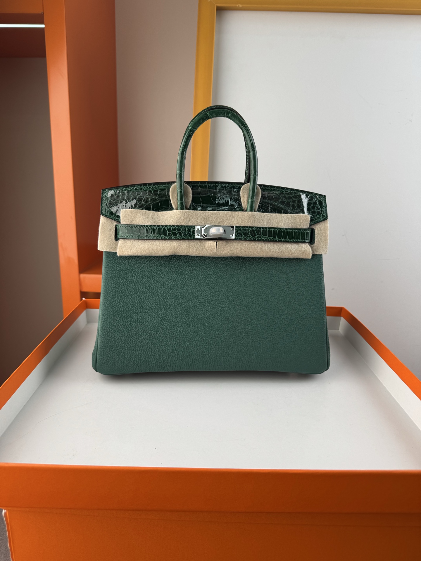 Birkin 25cm Emerald Green Togo Leather and Alligator Handbag with Silver Hardware 1 i1747994945196 2064 0 0