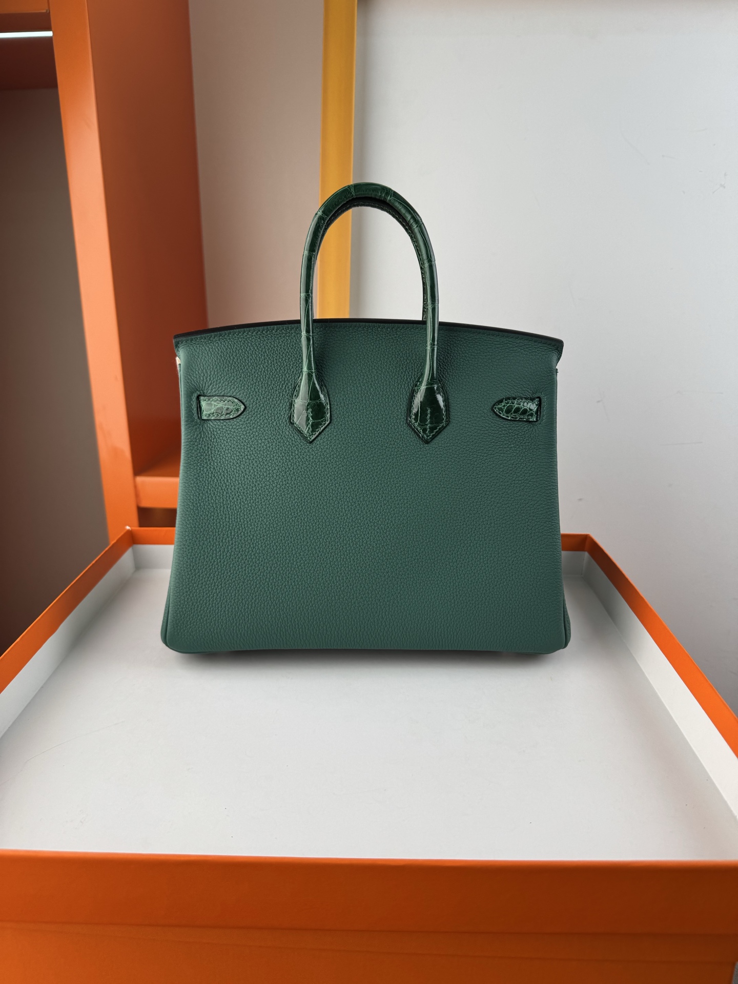 Birkin 25cm Emerald Green Togo Leather and Alligator Handbag with Silver Hardware 2 i1747994969340 2688 0 1