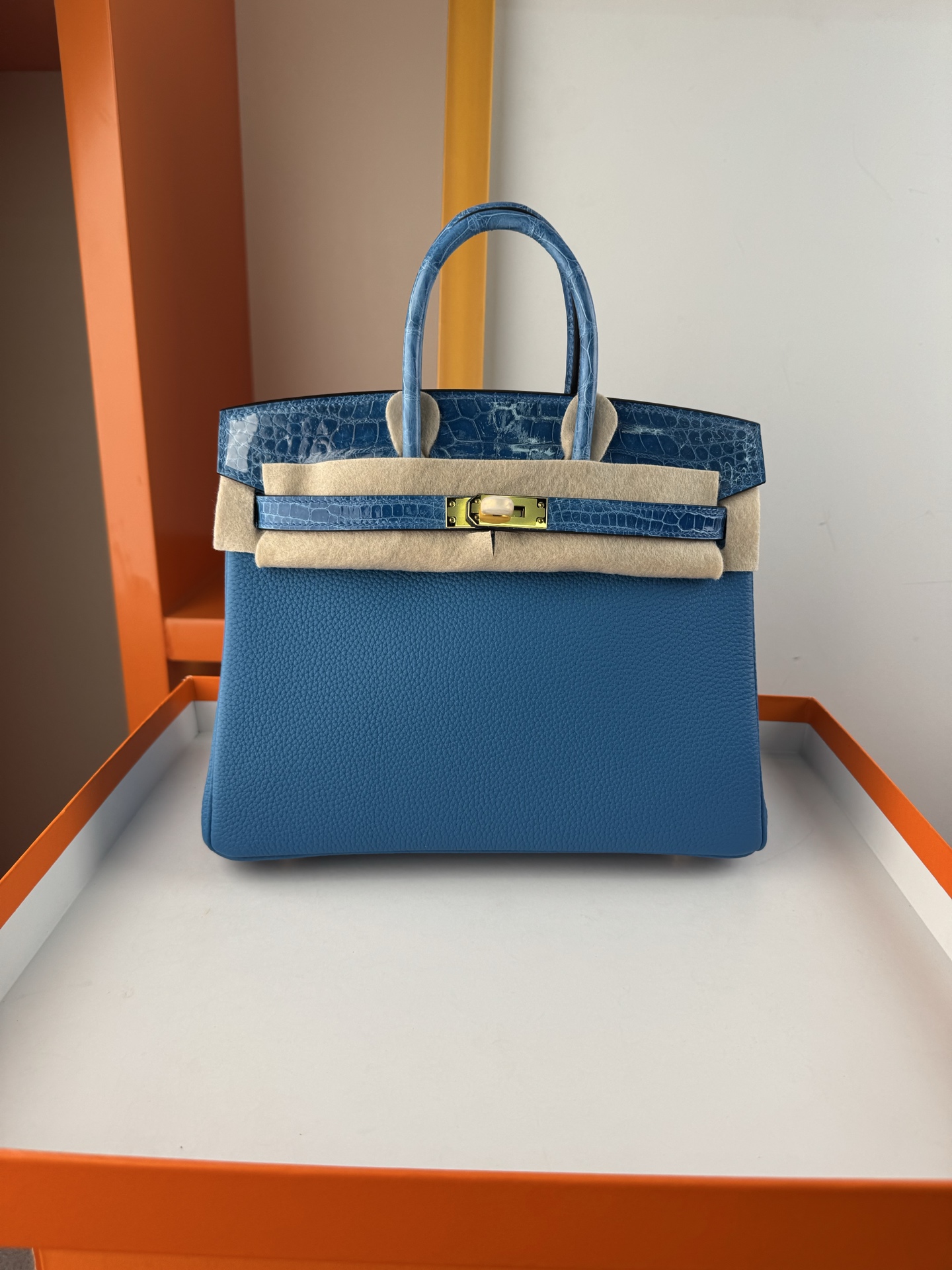 Birkin 25cm Touch Paradise Blue Togo Leather and Alligator Gold Hardware 2 i1748102745259 305 0 0