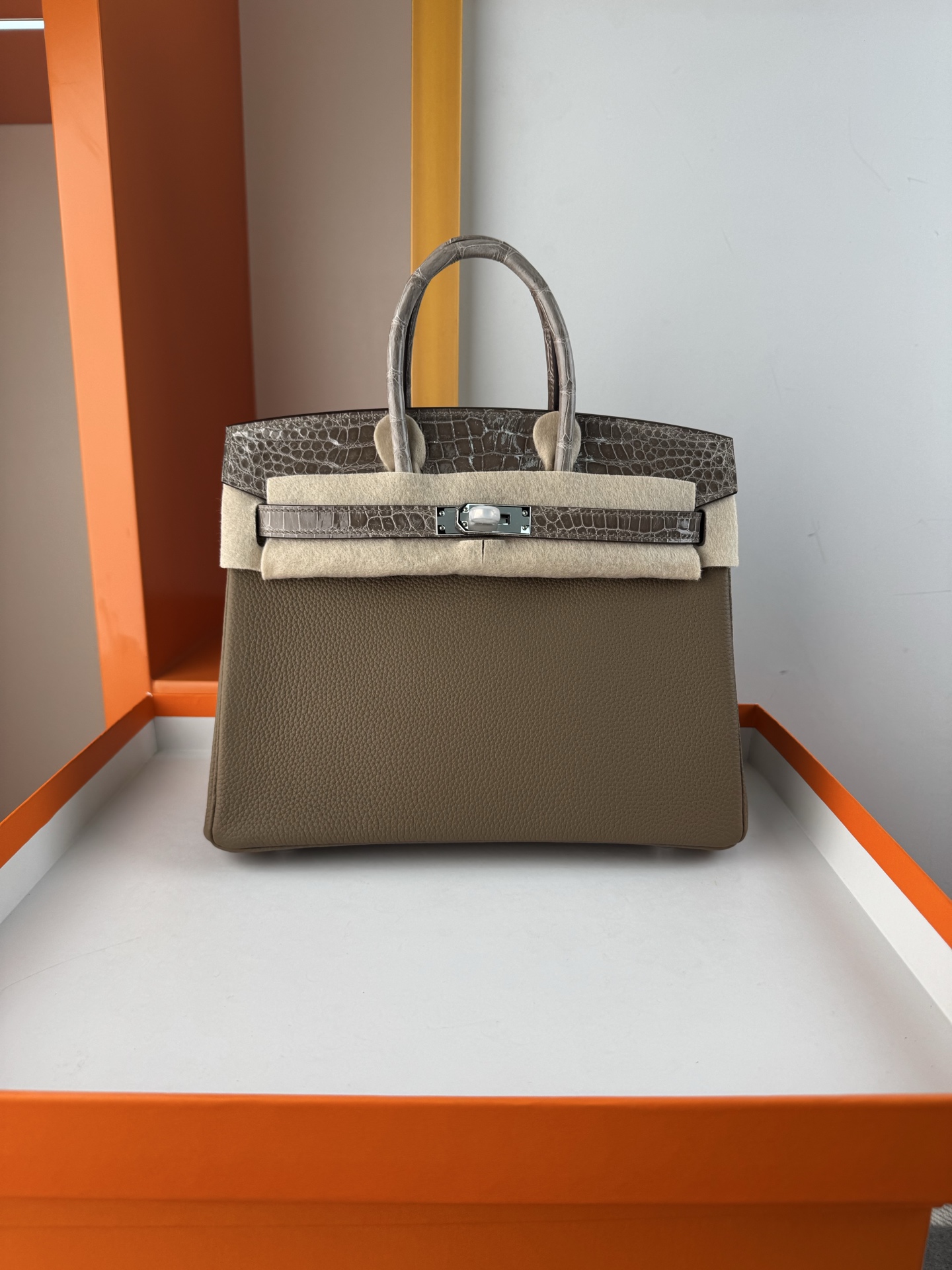 Elegant Birkin 25cm Touch Handbag in Togo Leather and Crocodile Skin 1 i1748233208695 2495 0 0