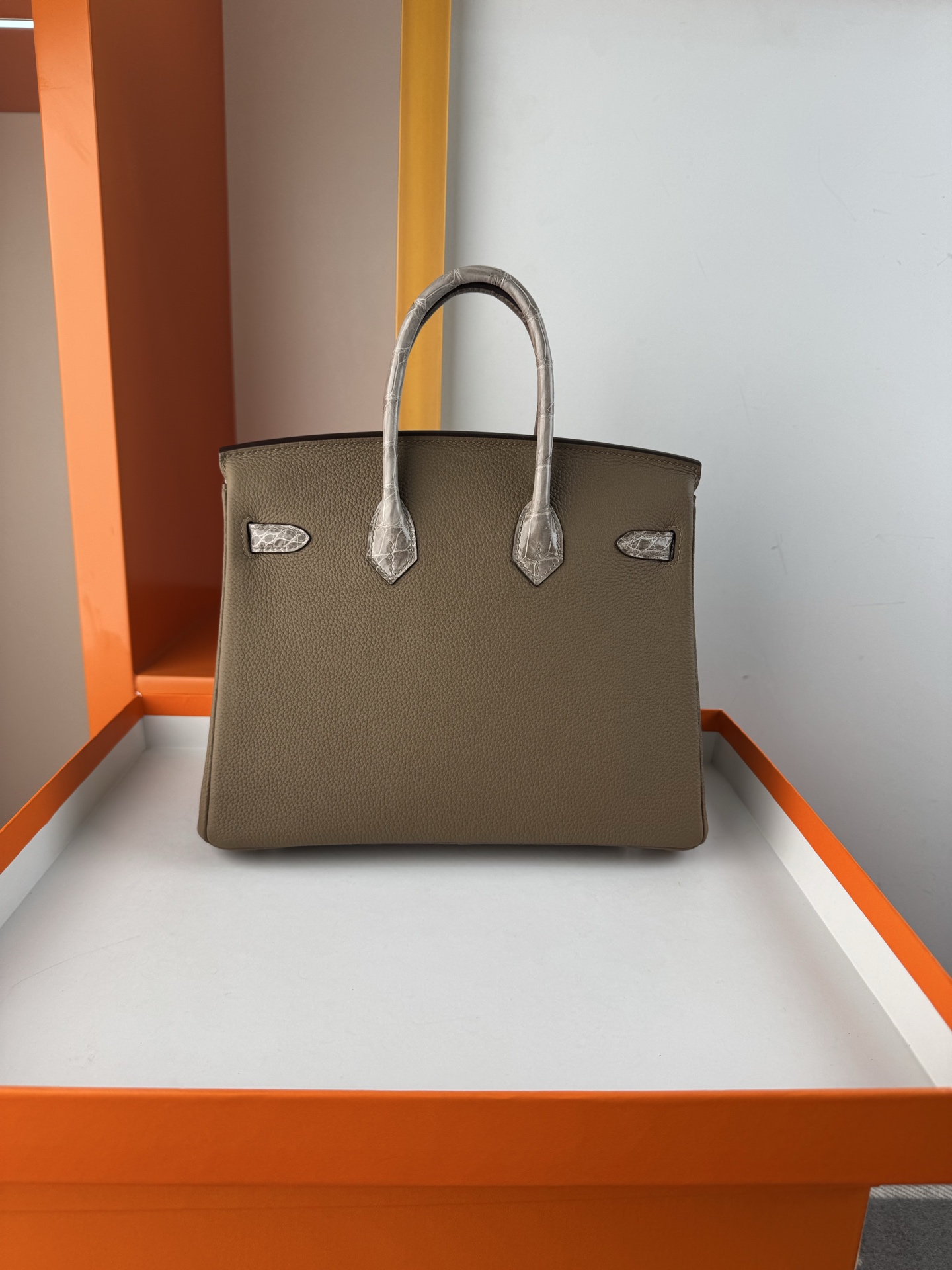 Elegant Birkin 25cm Touch Handbag in Togo Leather and Crocodile Skin 2 i1748233211920 2709 0 1