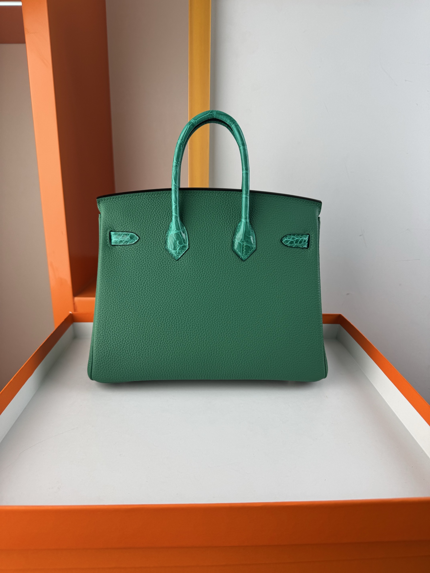 Emerald Green Birkin 25cm Togo Leather with Alligator Trim and Silver Hardware 2 i1748233642089 7888 0 1