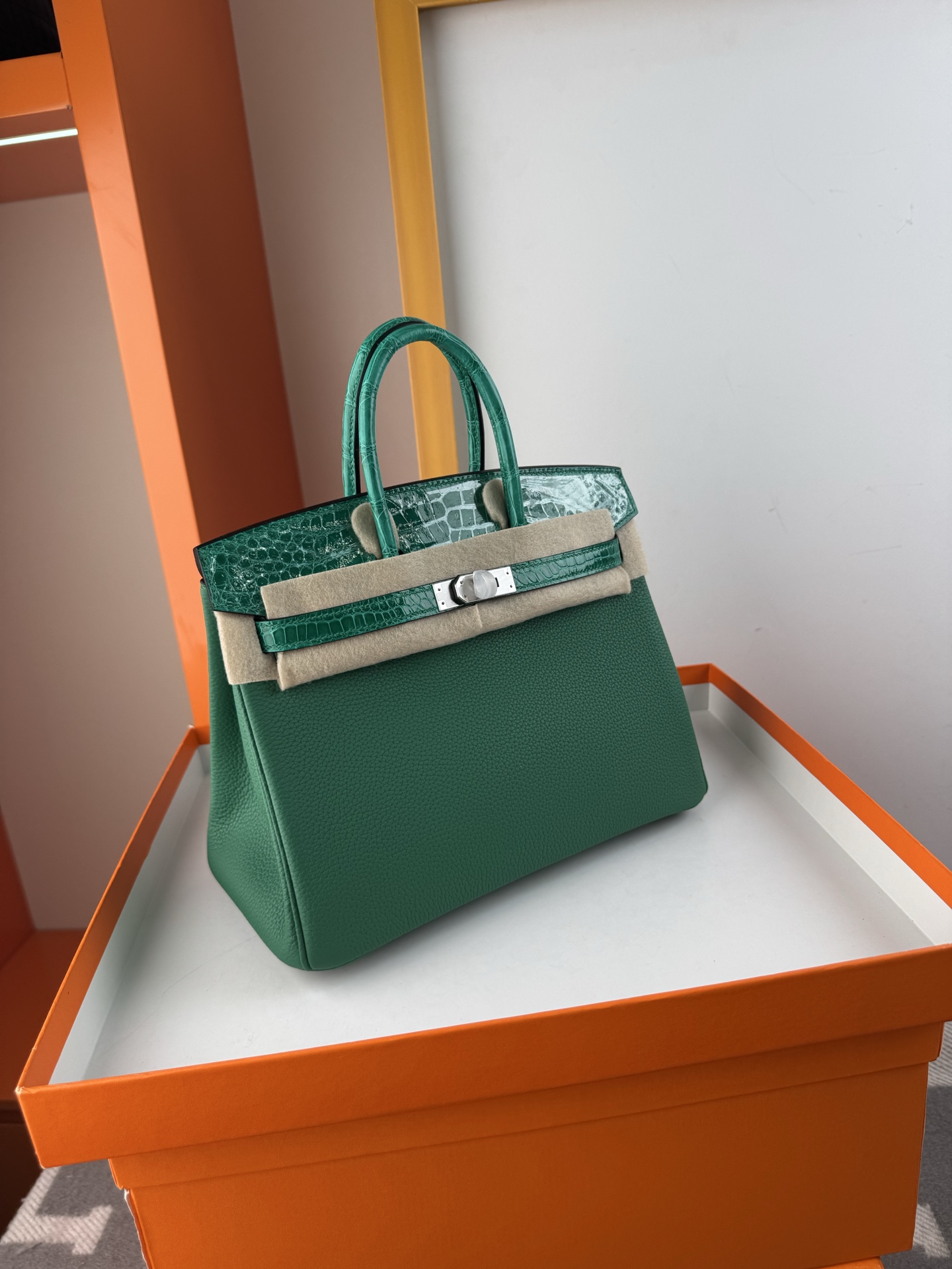 Emerald Green Birkin 25cm Togo Leather with Alligator Trim and Silver Hardware 3 i1748233642091 8776 0 2