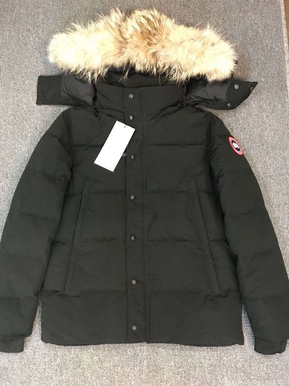 Canada Goose Ropa Chaqueta de plumón Blanco Plumón de pato blanco