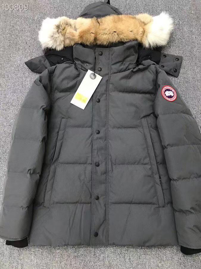 Canada Goose Ropa Chaqueta de plumón Blanco Plumón de pato blanco