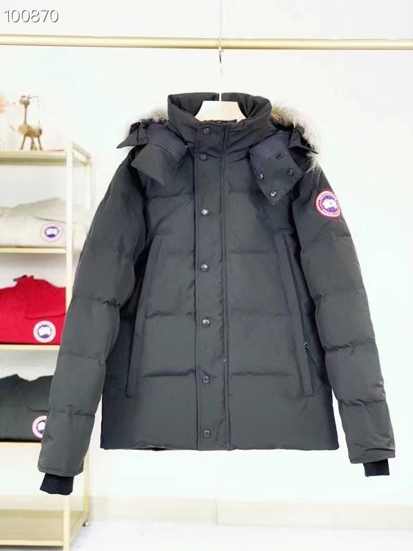 Canada Goose Ropa Chaqueta de plumón Blanco Plumón de pato blanco