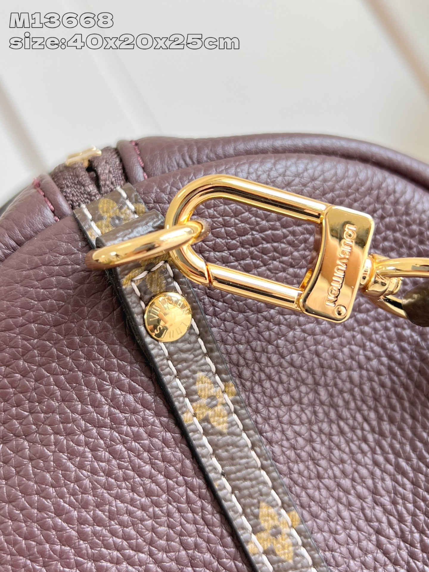 Louis Vuitton 2025 秋冬系列 手袋lv,包 5