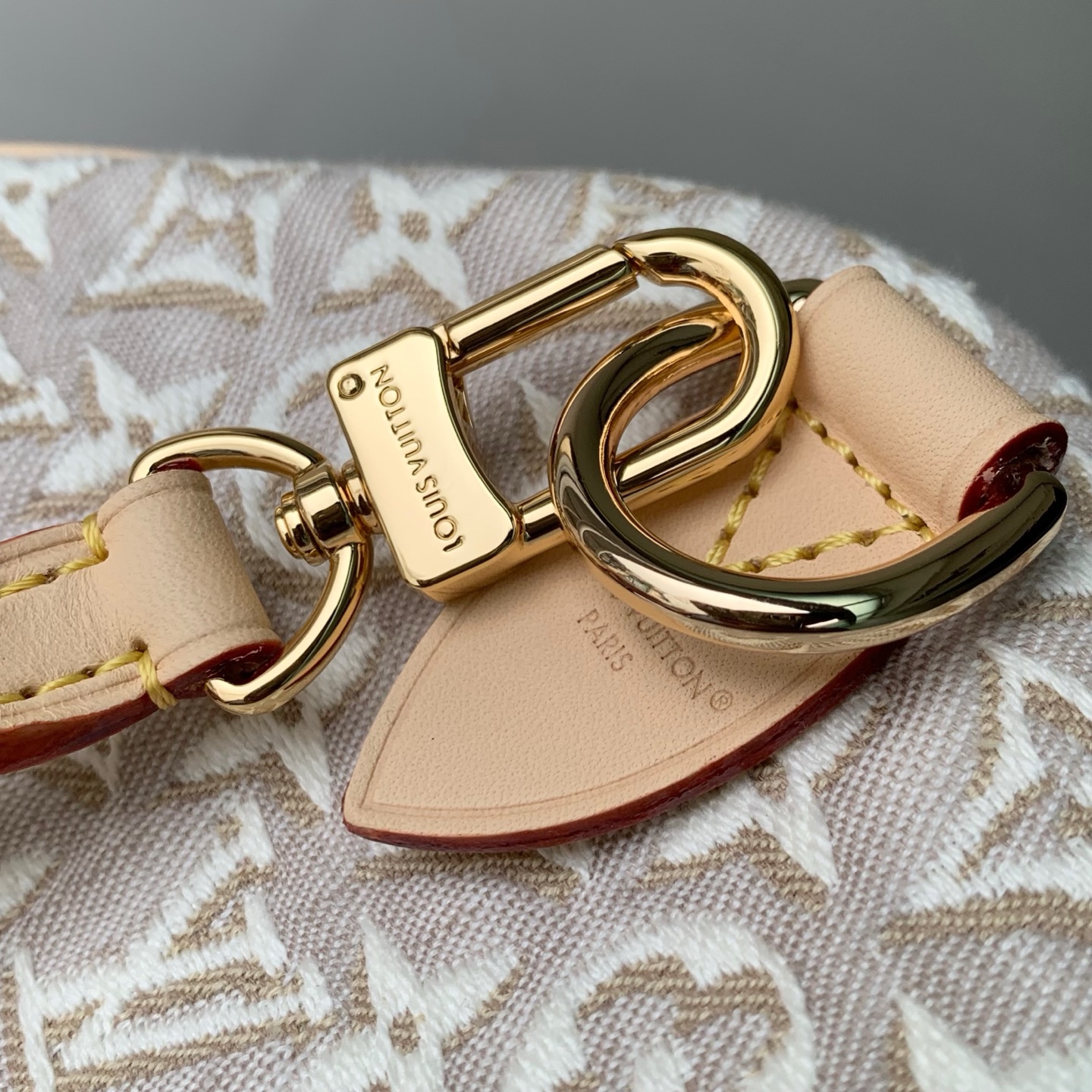 Louis Vuitton M28479 everyday