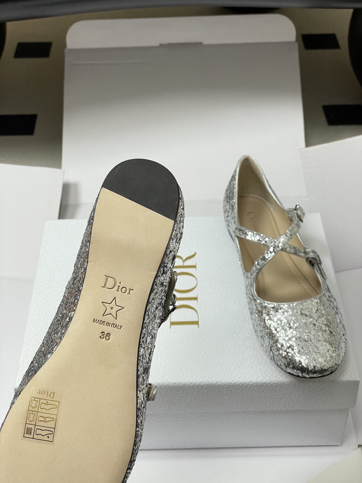 Dior 26ss春夏新款Dior 迪奥VeryDior芭蕾鞋交叉带搭扣玛丽珍鞋亮片芭蕾舞鞋透明网纱电绣网面平底单鞋