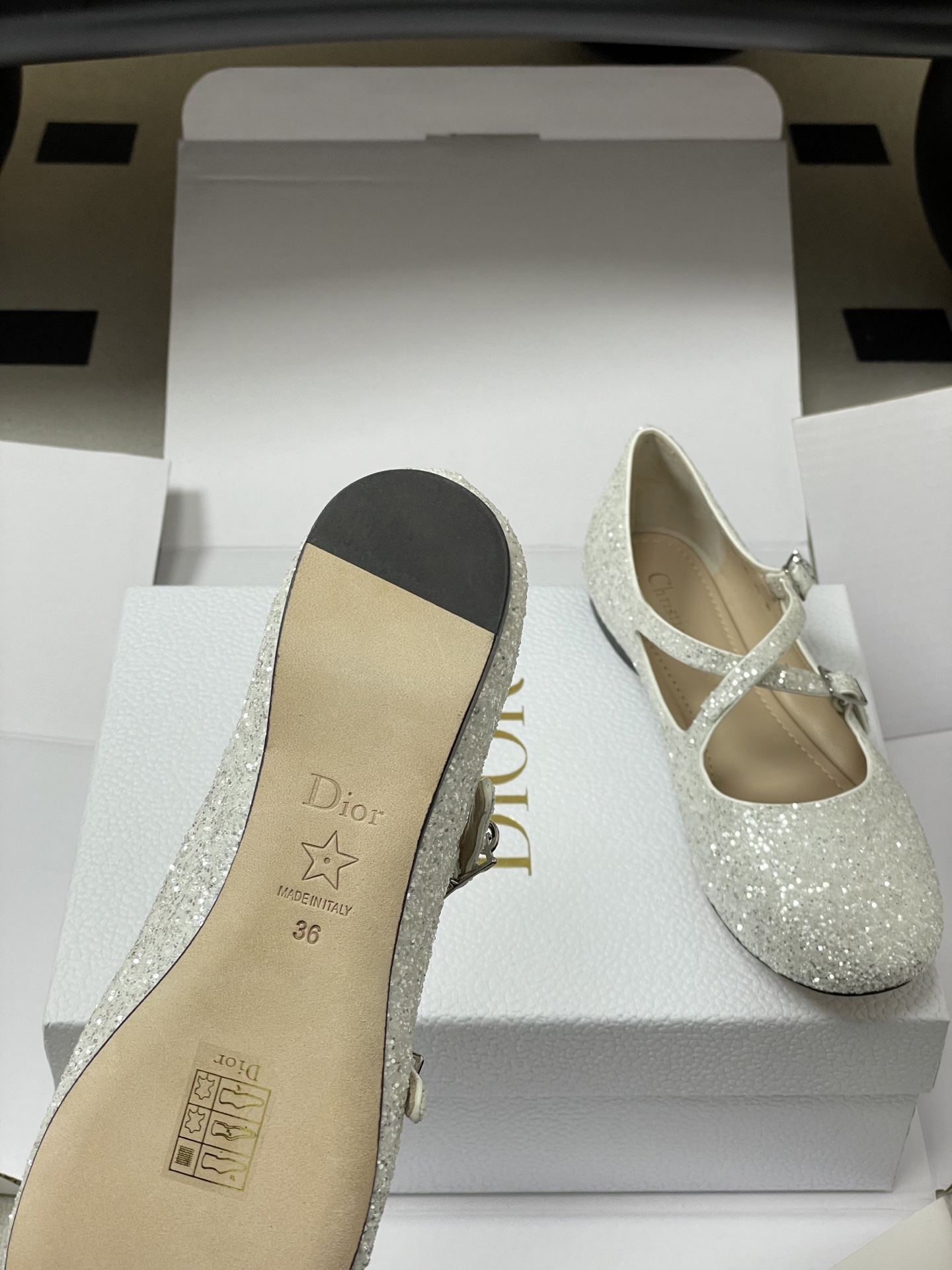 Dior 26ss春夏新款Dior 迪奥VeryDior芭蕾鞋交叉带搭扣玛丽珍鞋亮片芭蕾舞鞋透明网纱电绣网面平底单鞋